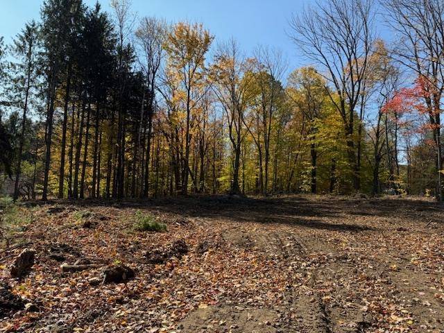 Ludlow, VT 05149,00 Okemo Acres