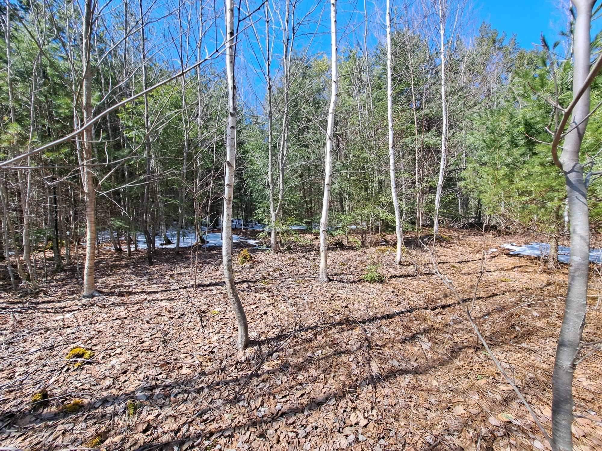 Thornton, NH 03285,Cuttyhunk RD #Lot 13