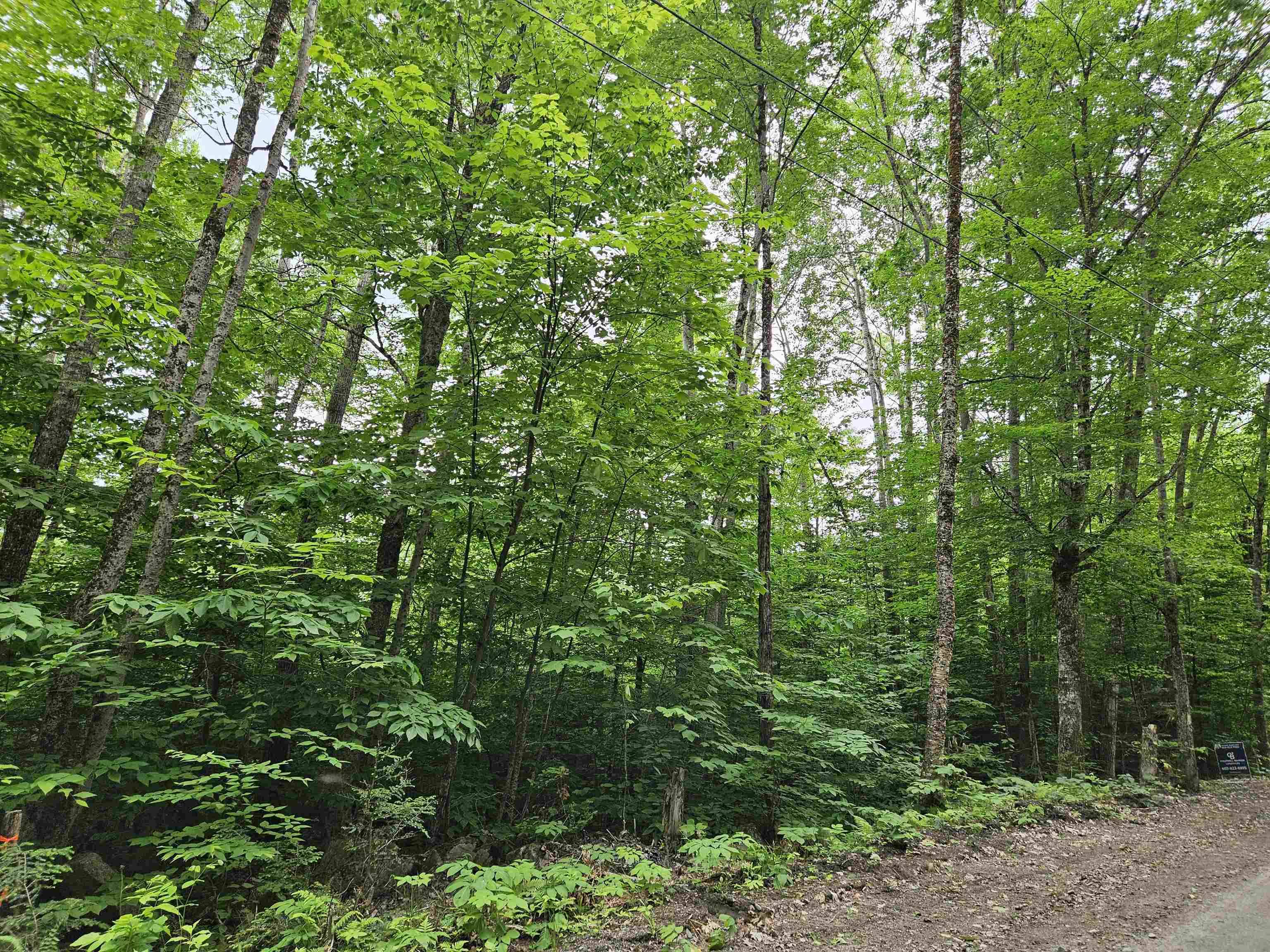 Dalton, NH 03598,Lot 90 Faraway RD