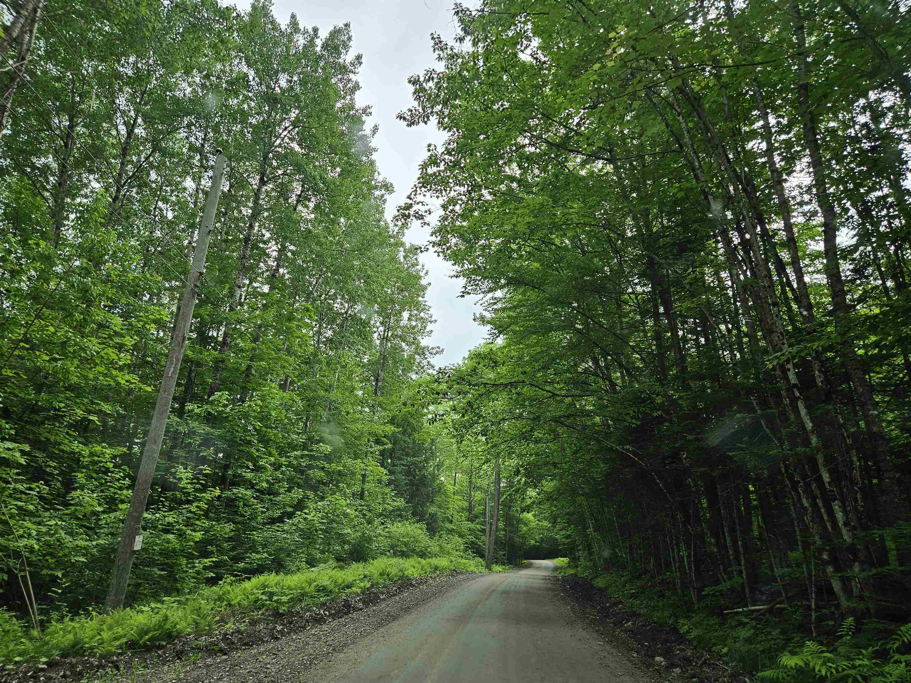 Dalton, NH 03598,Lot 90 Faraway RD