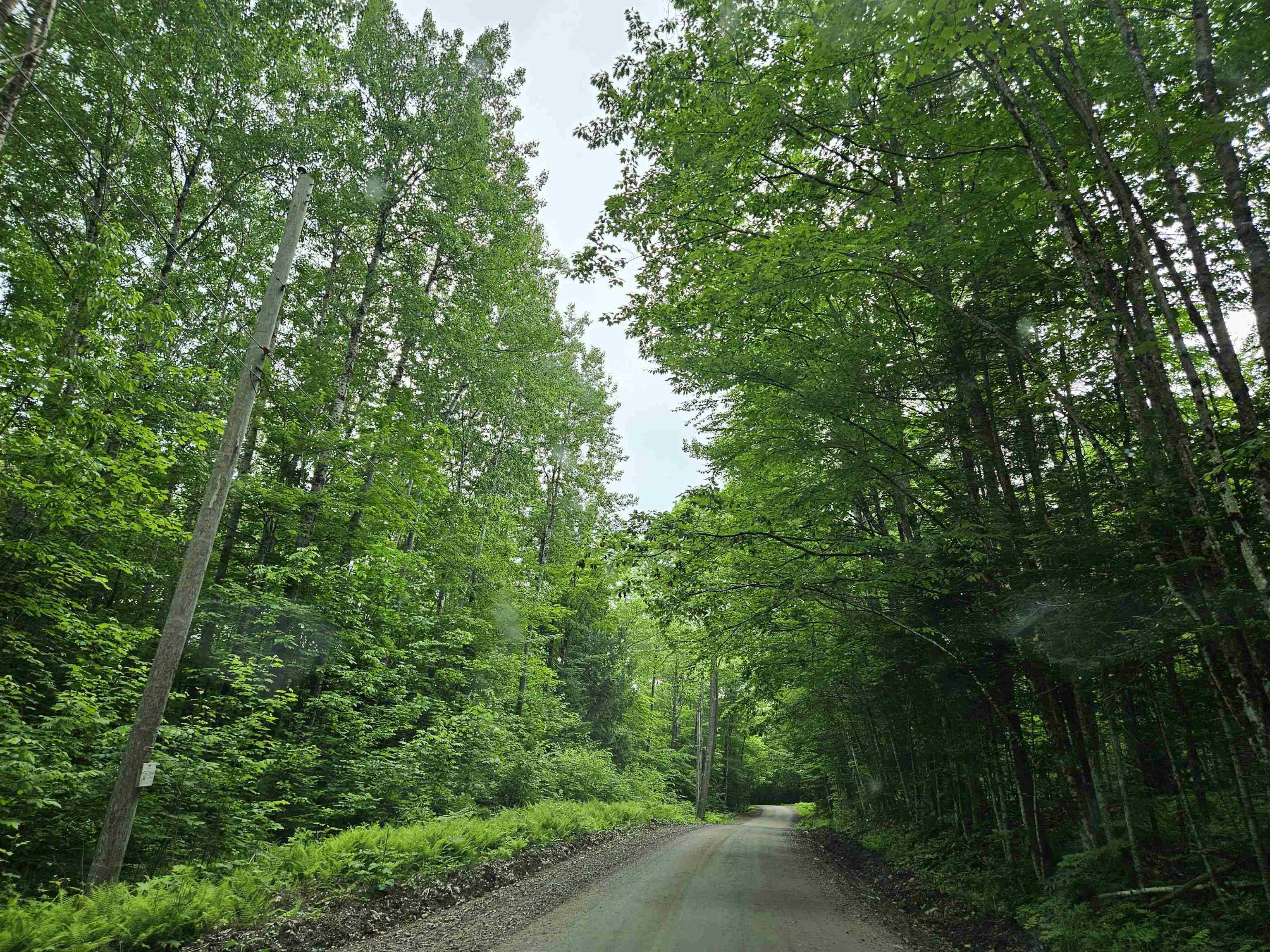 Dalton, NH 03598,Lot 90 Faraway RD