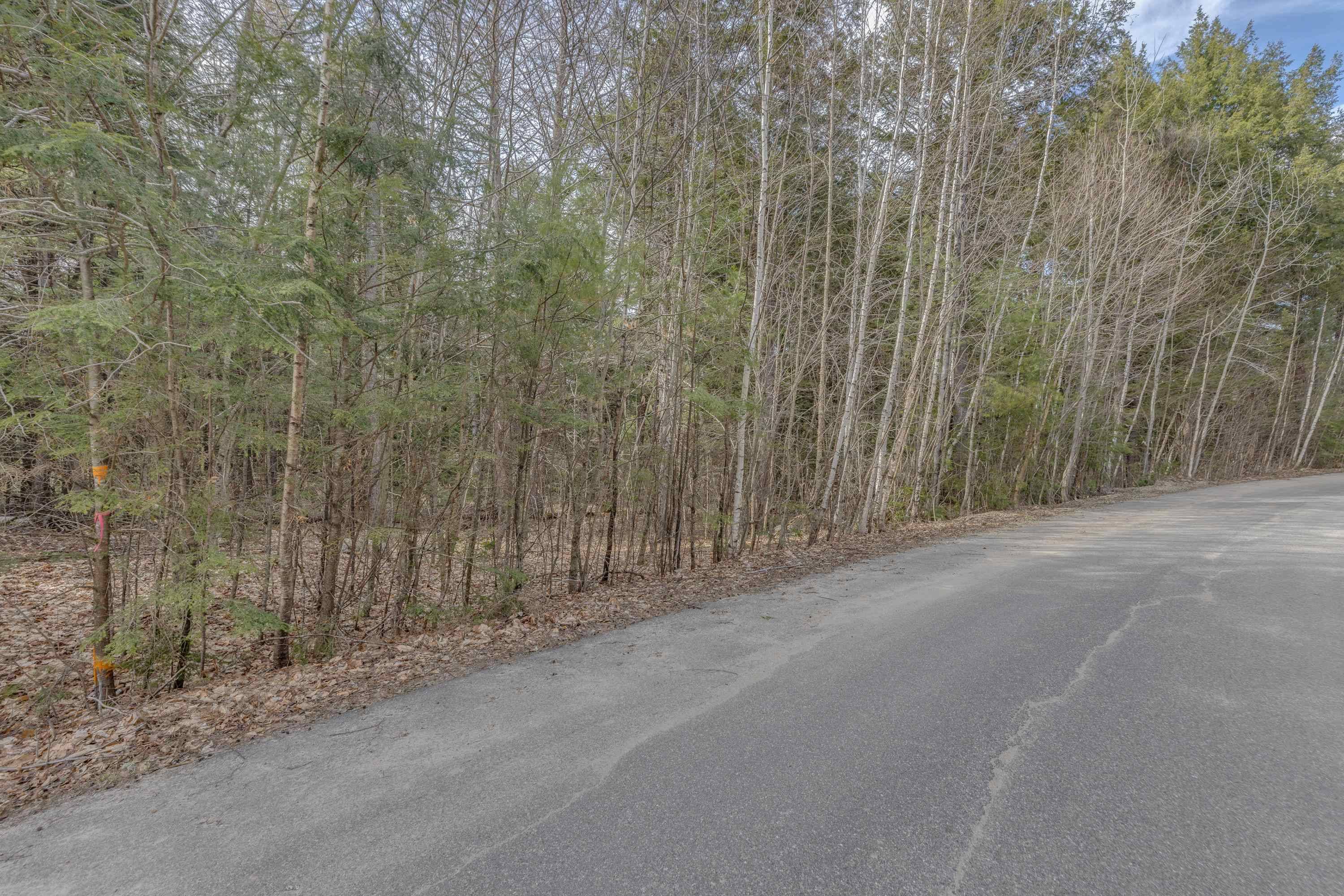 Thornton, NH 03285,Lot 2 Equinox RD