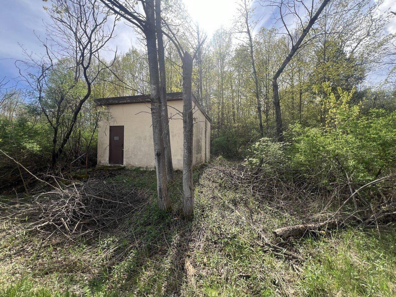 Leicester, VT 05733,TBD Delorm RD