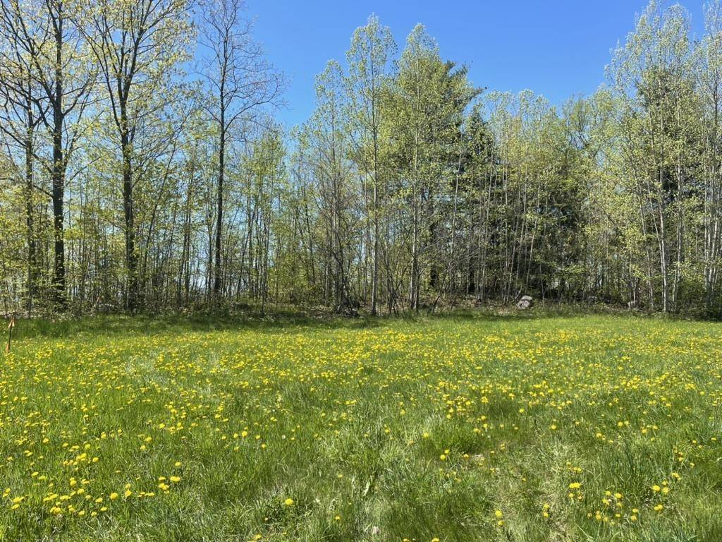 Bridport, VT 05734,TBD Forrest RD