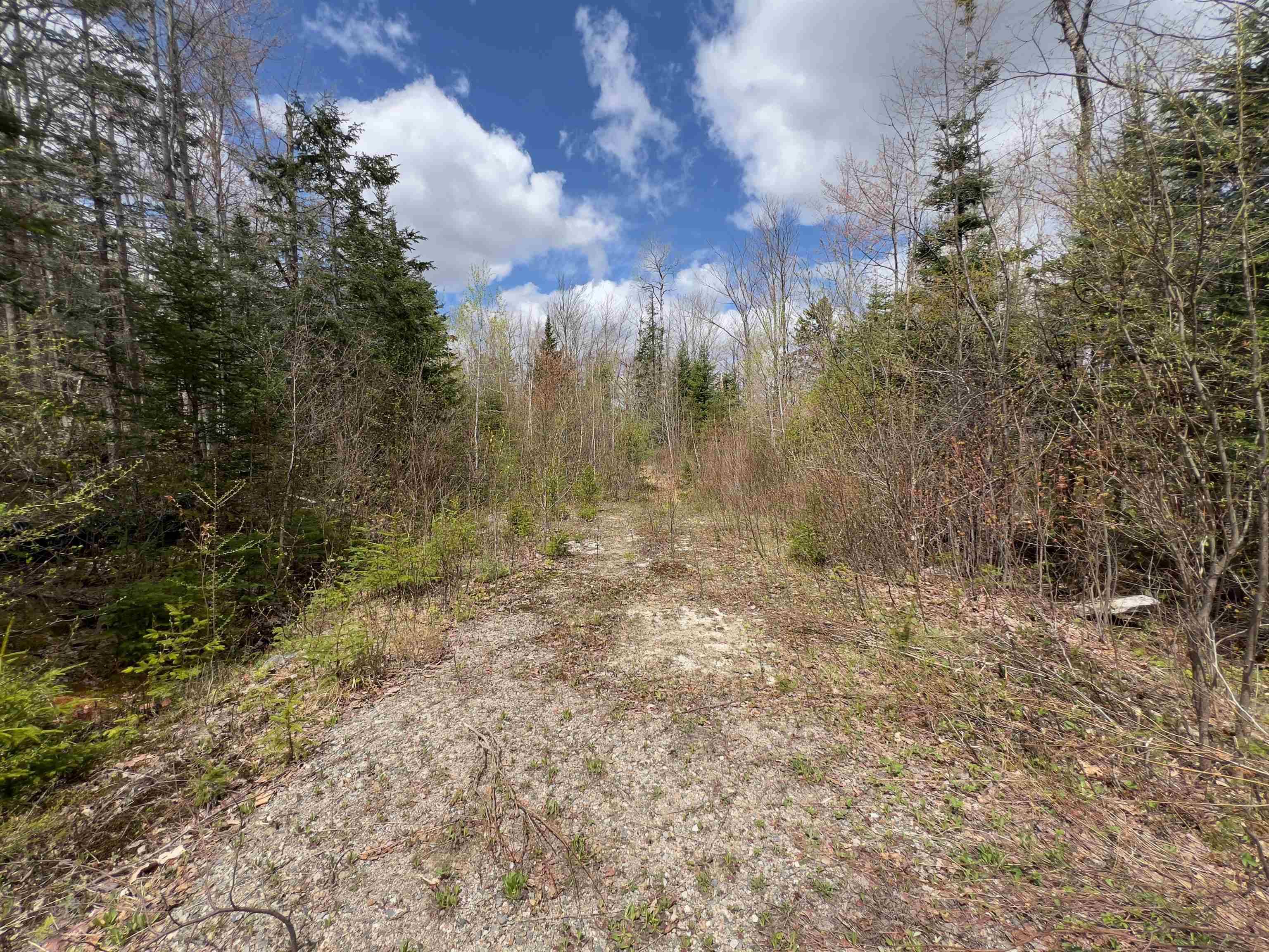Milan, NH 03588,Chipper LN