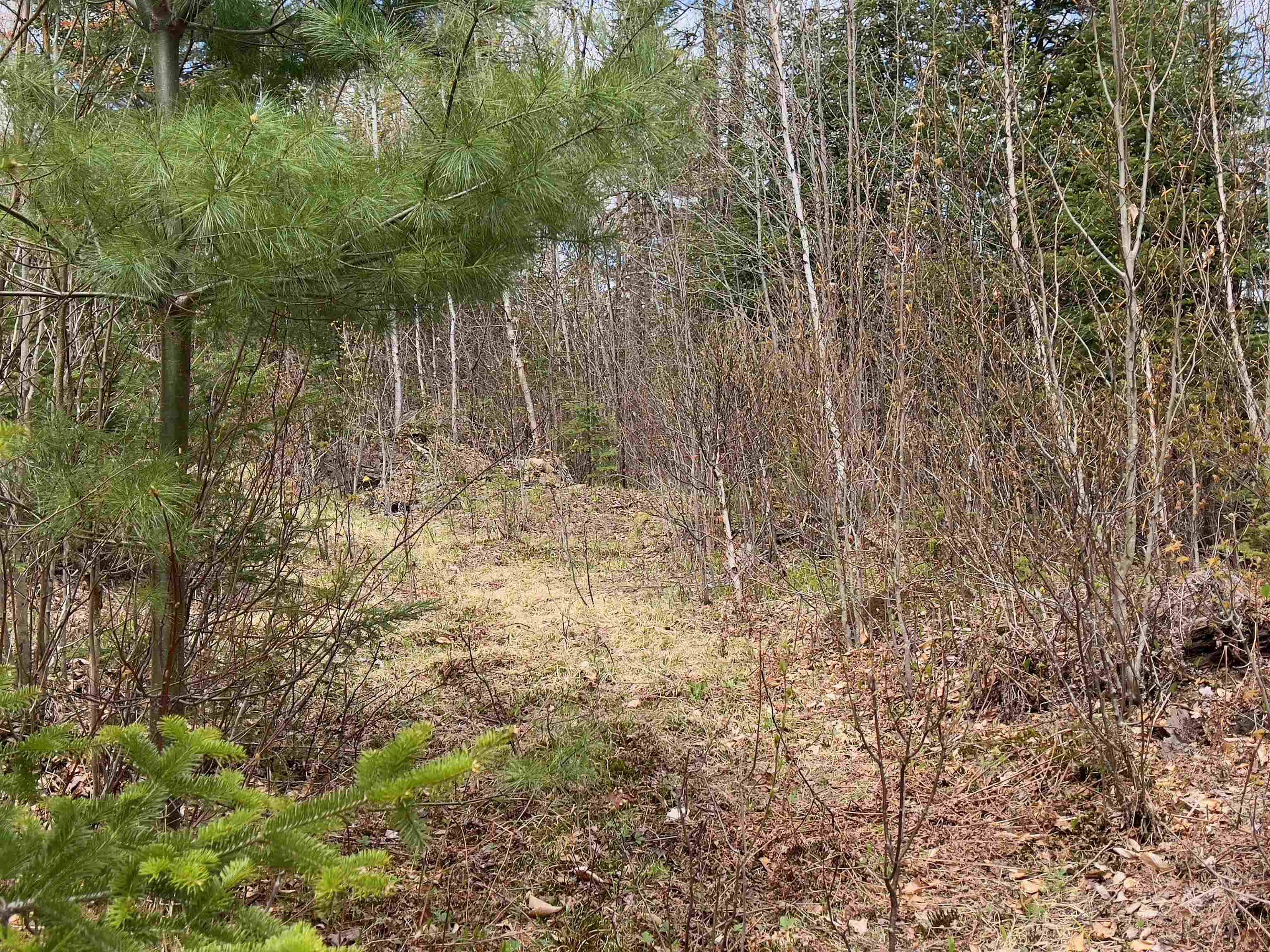 Chipper LN Milan, NH 03588
