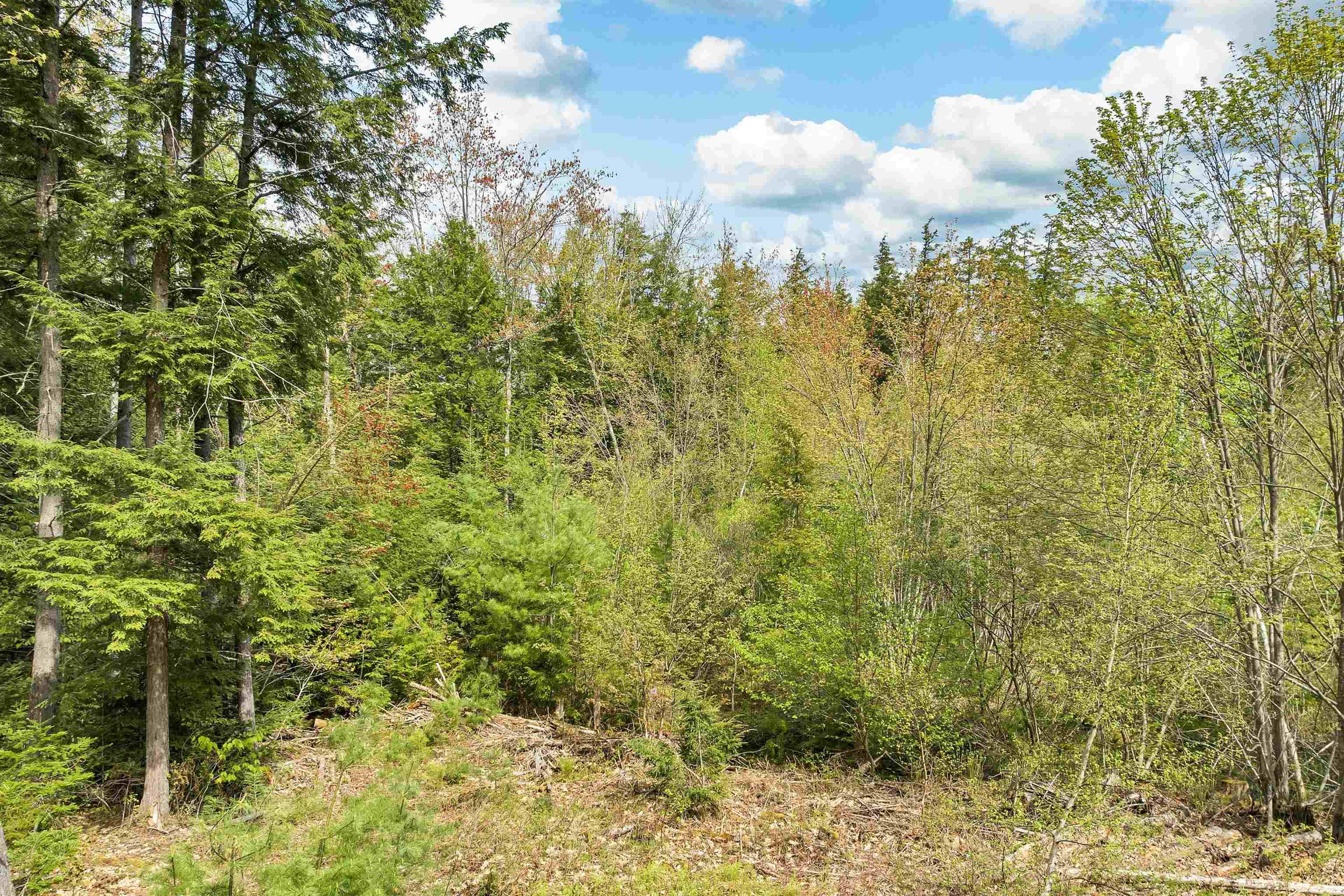Conway, NH 03818,Lots42,43,44,49 G ST