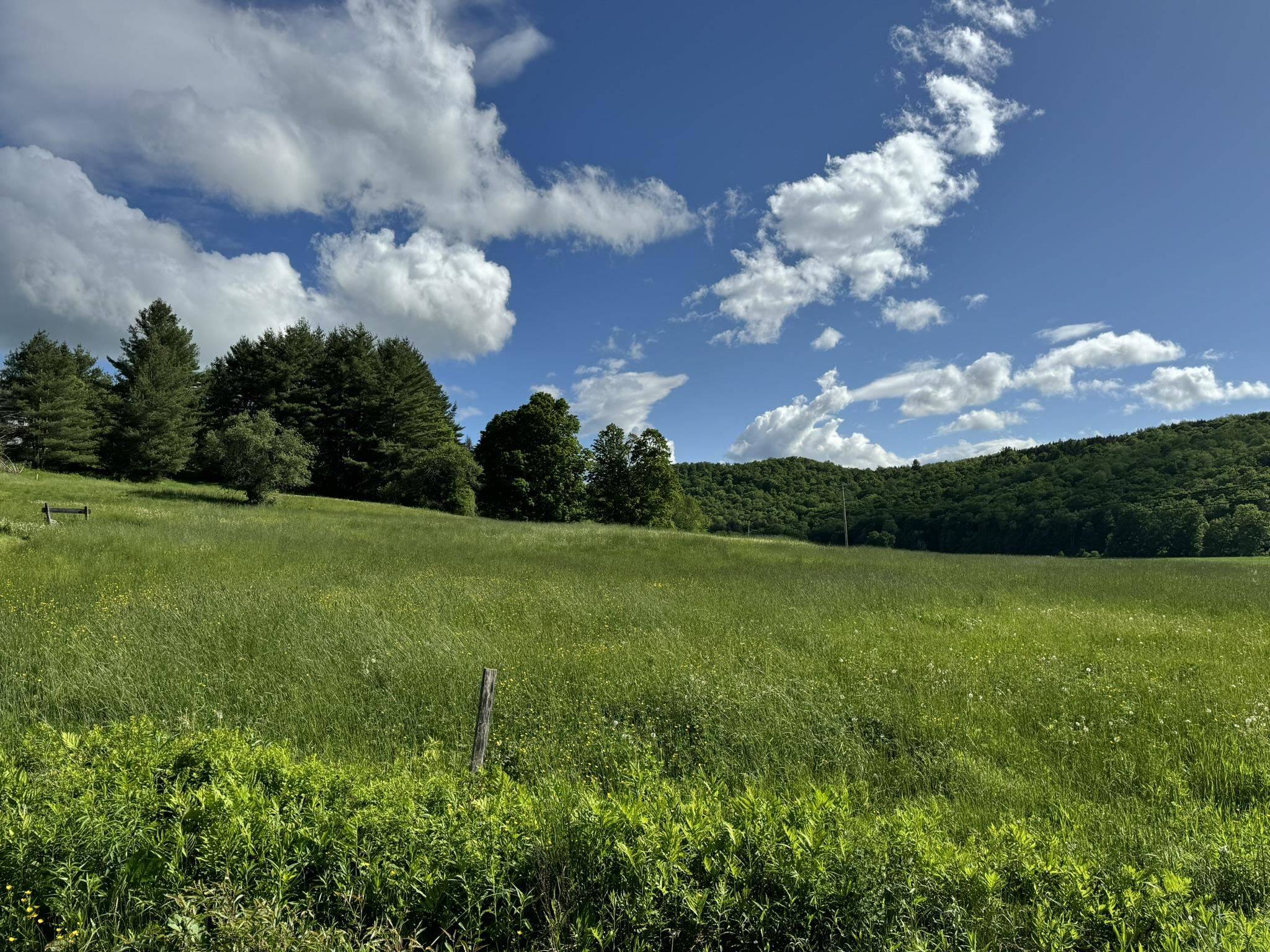 Wilmington, VT 05363,0 Happy Haven RD #Lot 45