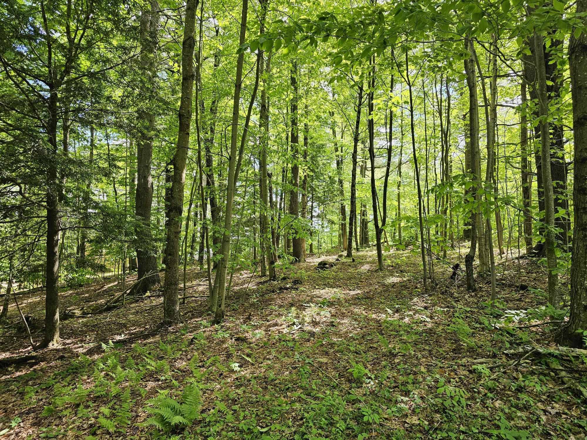 Stoddard, NH 03464,0 Kennedy Brook DR