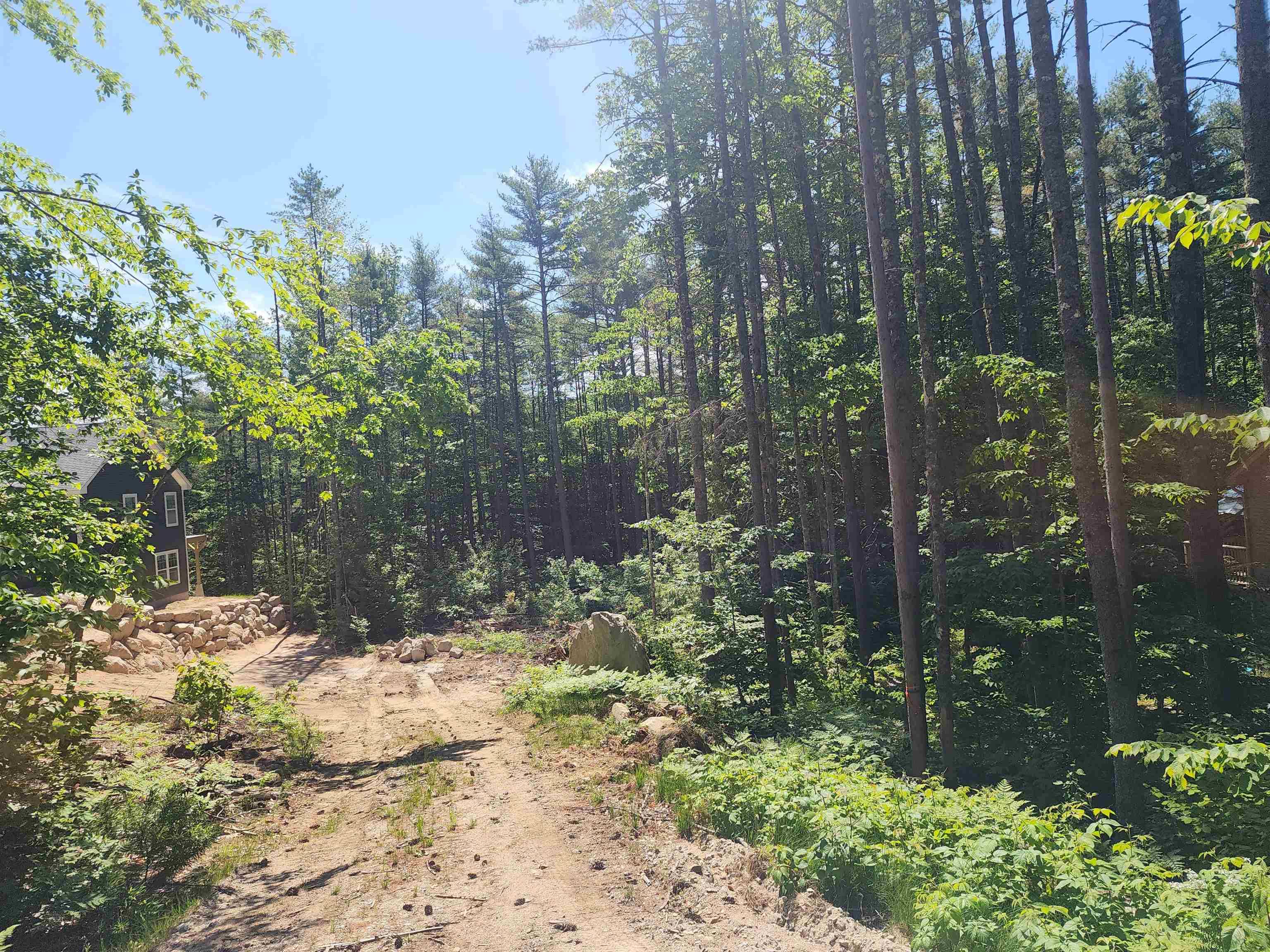 Conway, NH 03818,00 Tamarack Overlook #56