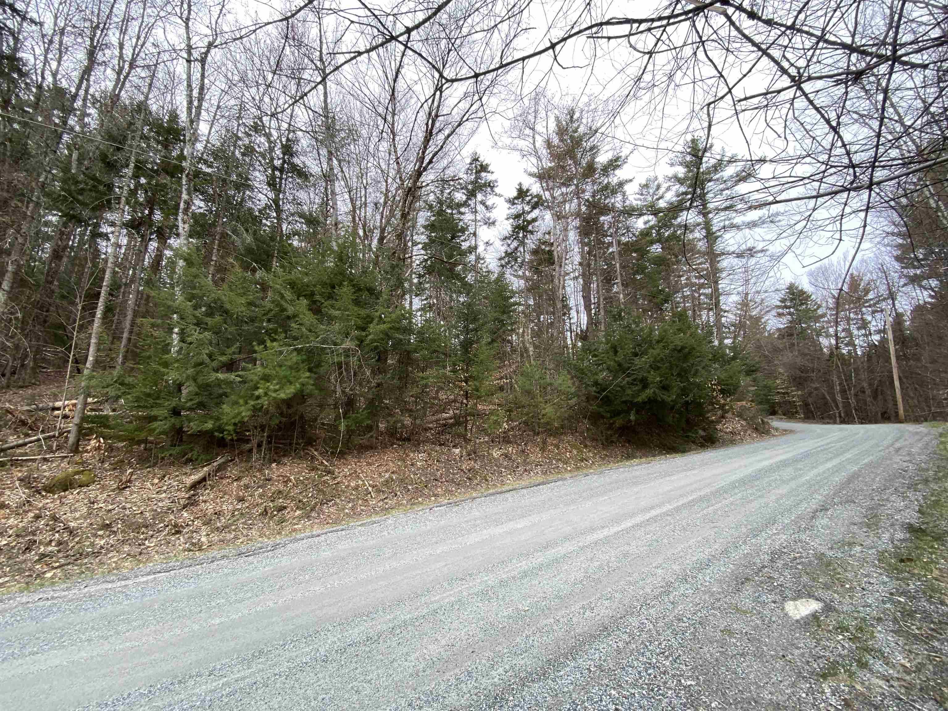 Grantham, NH 03753,27 Spring Valley DR