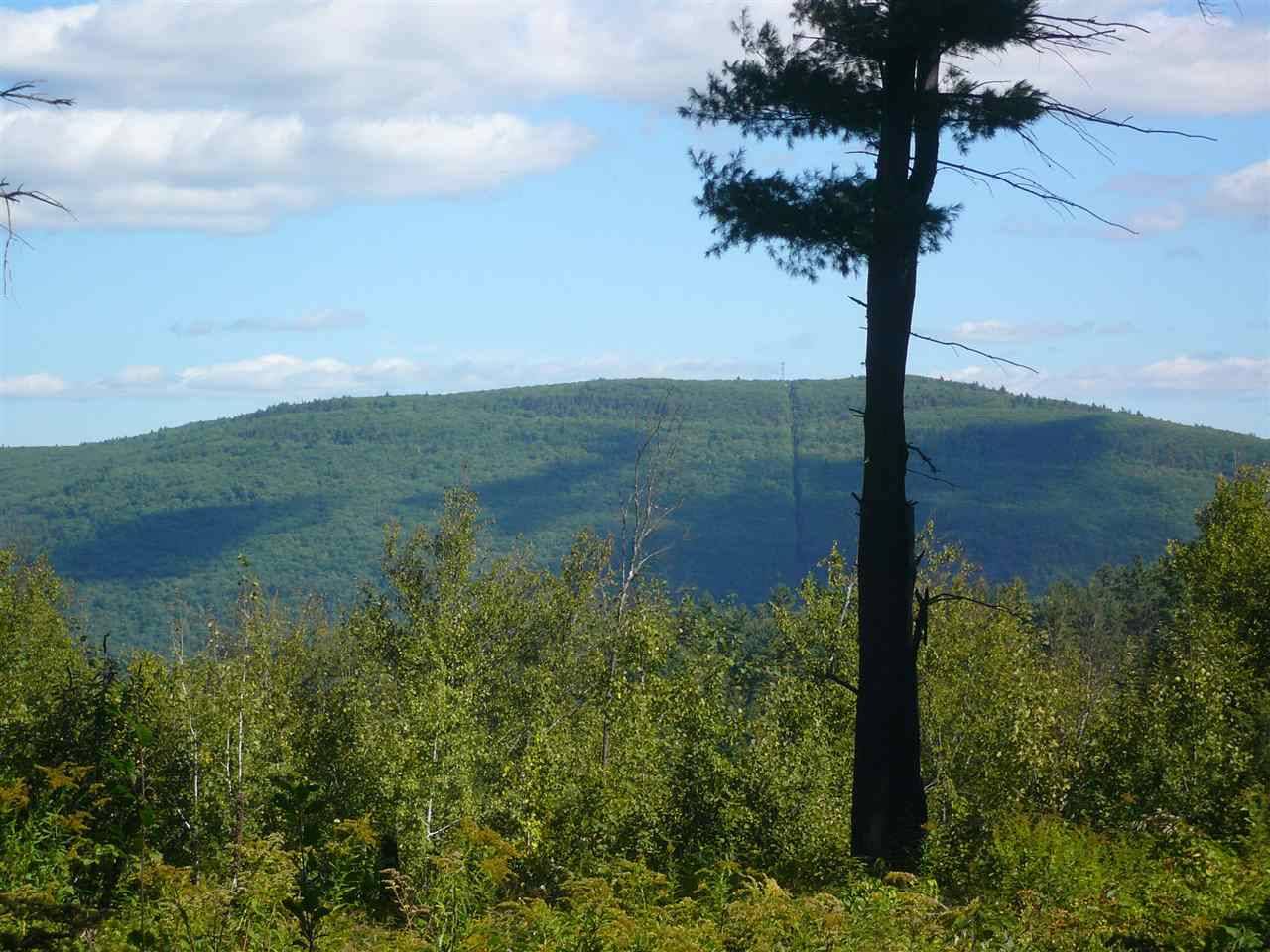 Brattleboro, VT 05301,Lot #4 Summit CIR