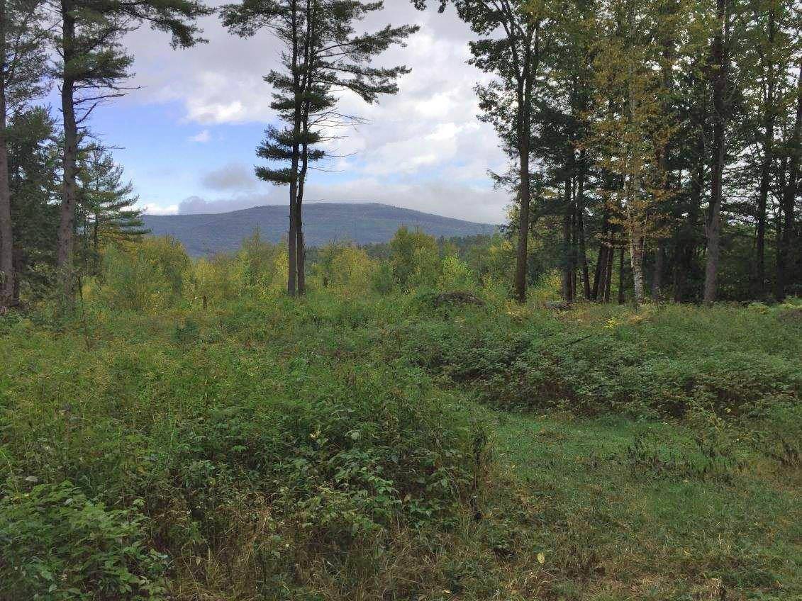 Brattleboro, VT 05301,Lot #4 Summit CIR
