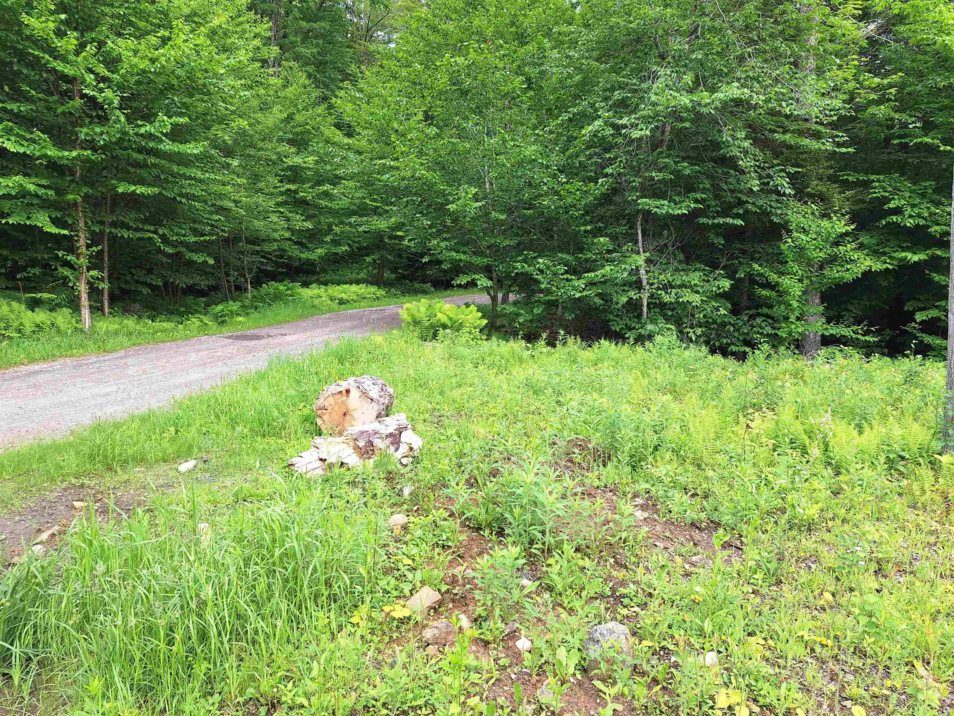 Killington, VT 05751,504 Elbow RD ##2