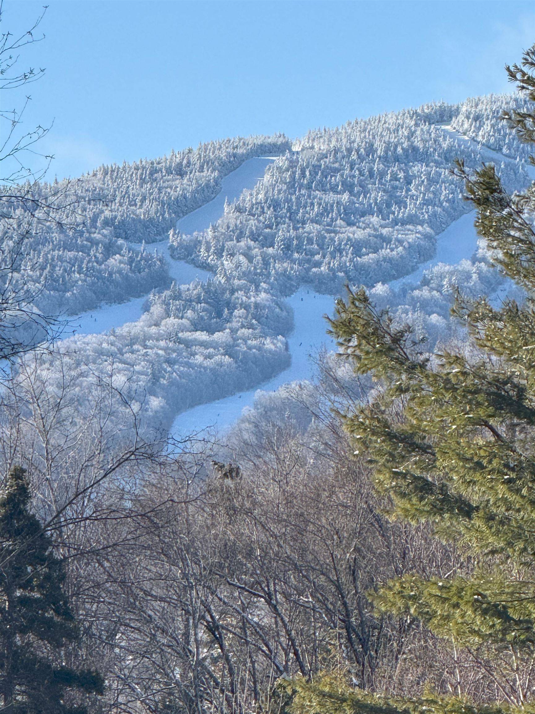 Winhall, VT 05340,80 The Hollow RD #D4