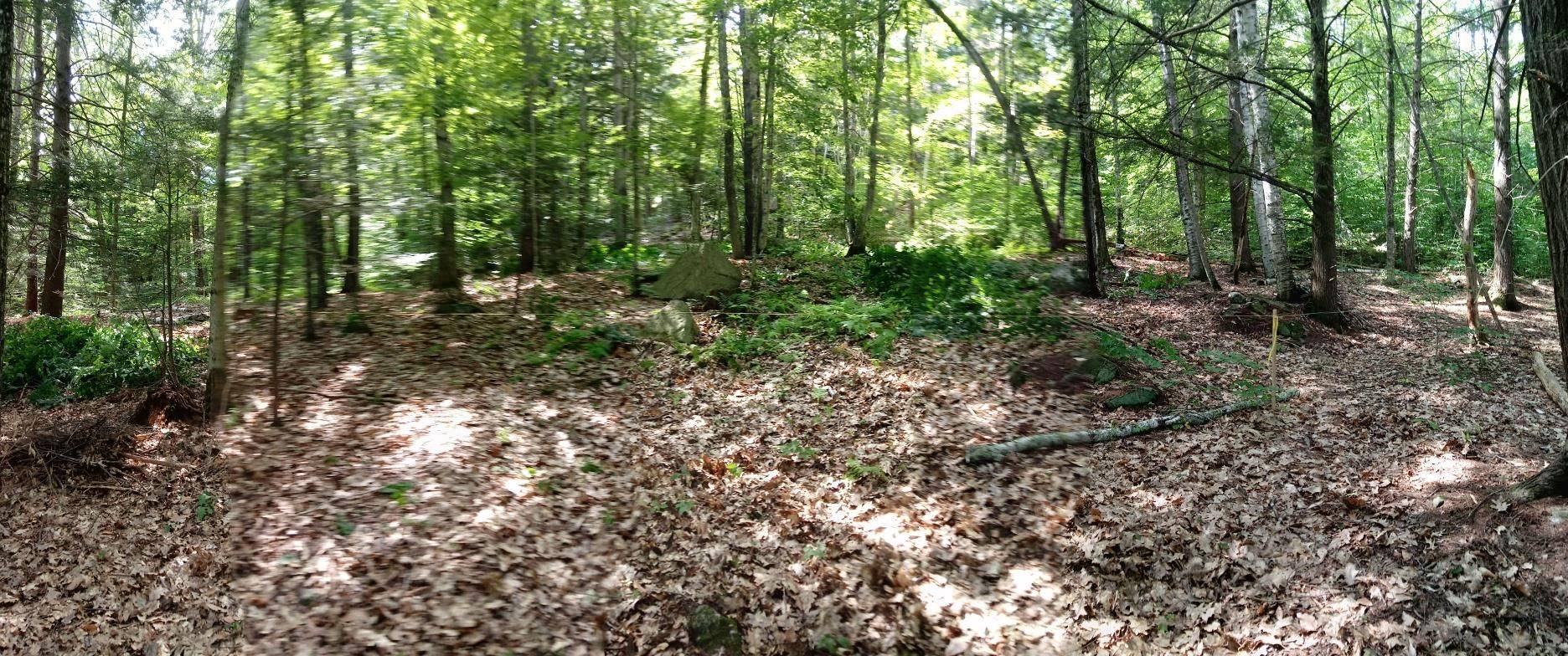 Newbury, NH 03255,420 Sutton RD