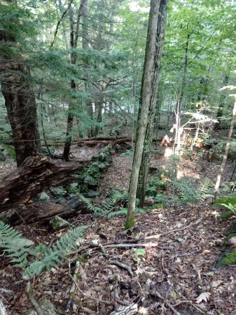 Newbury, NH 03255,420 Sutton RD