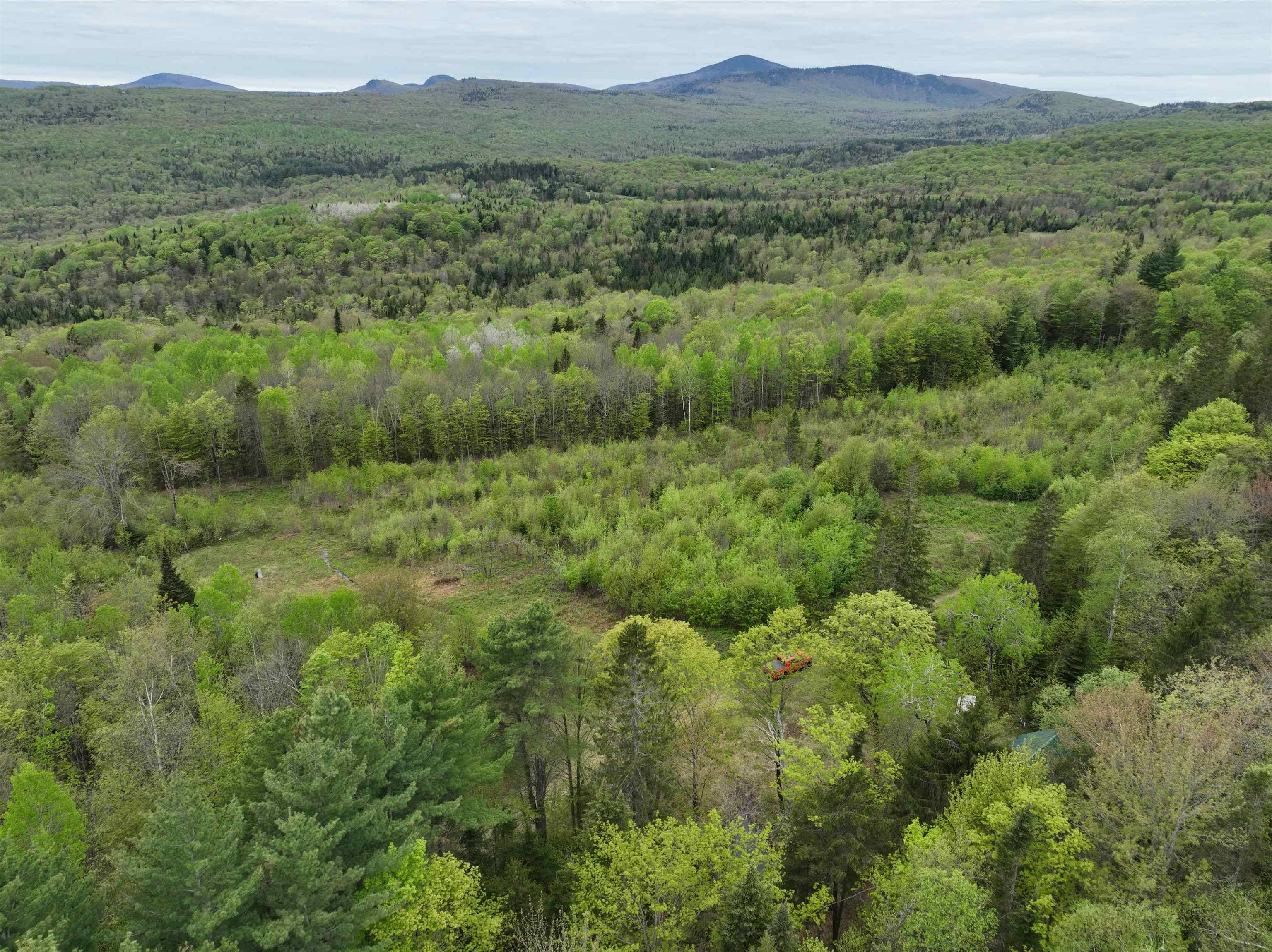 Newark, VT 05871,- Beck Pond RD