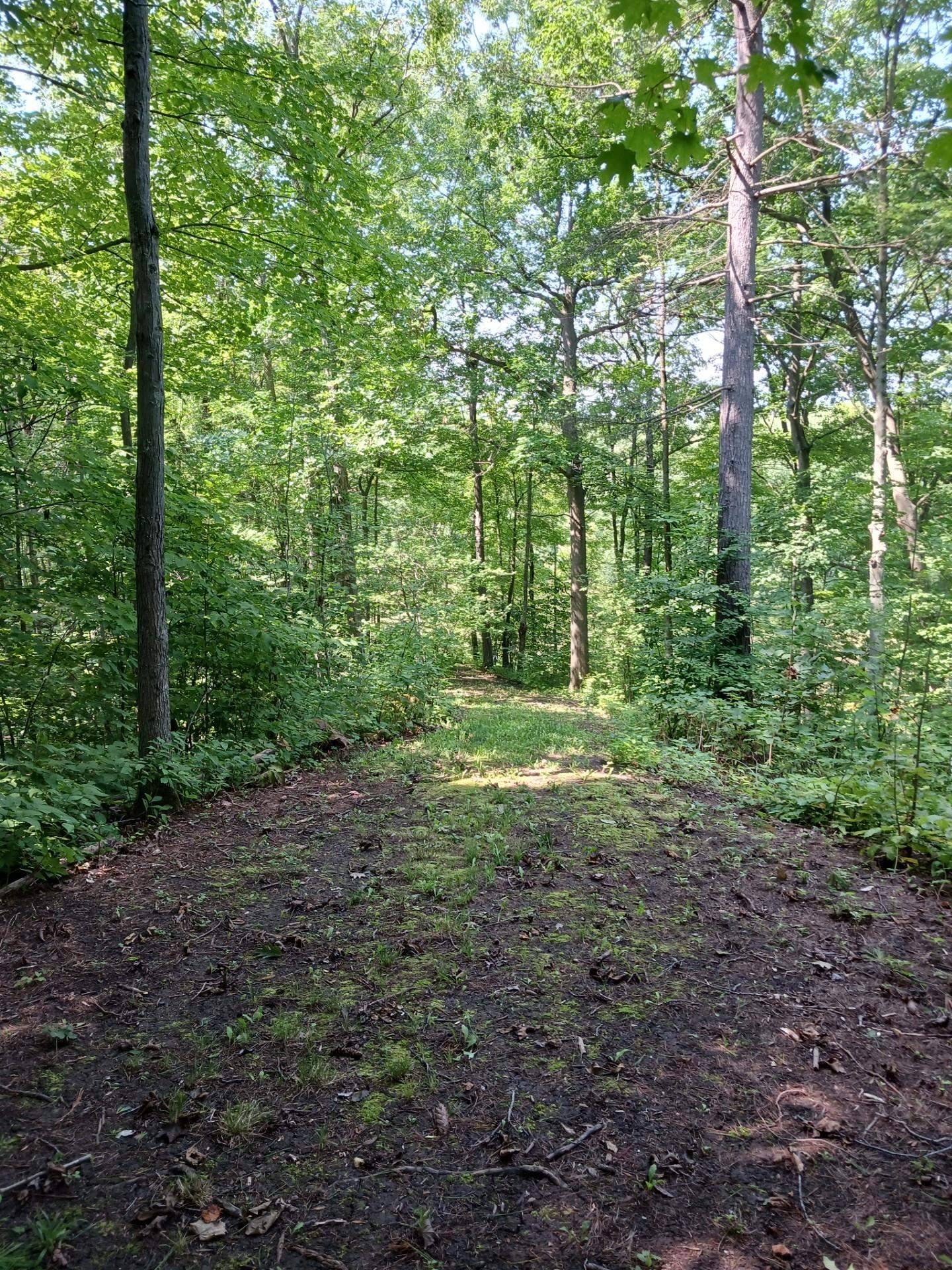 Panton, VT 05491,644 Panton RD #2
