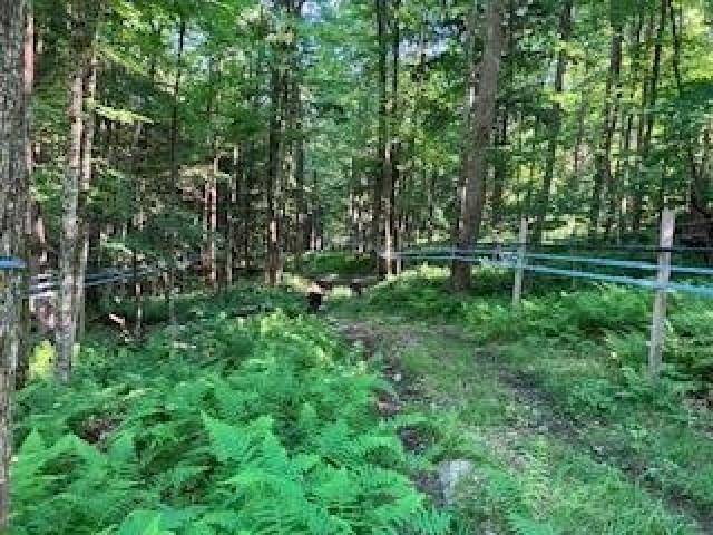 Wolcott, VT 05680,0000 Town Hill RD