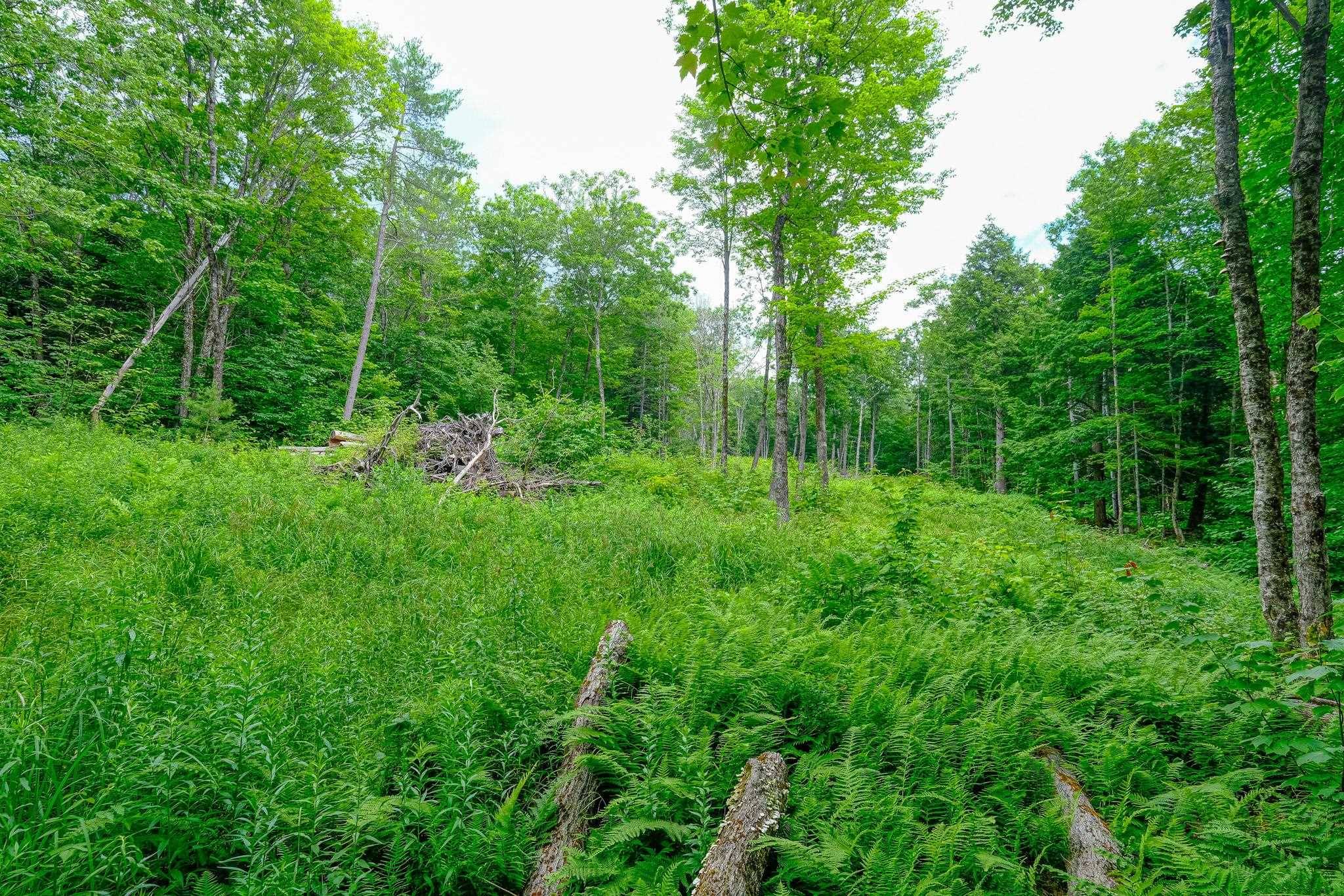 Ludlow, VT 05149,Lot 2A Preedom Hill Road North