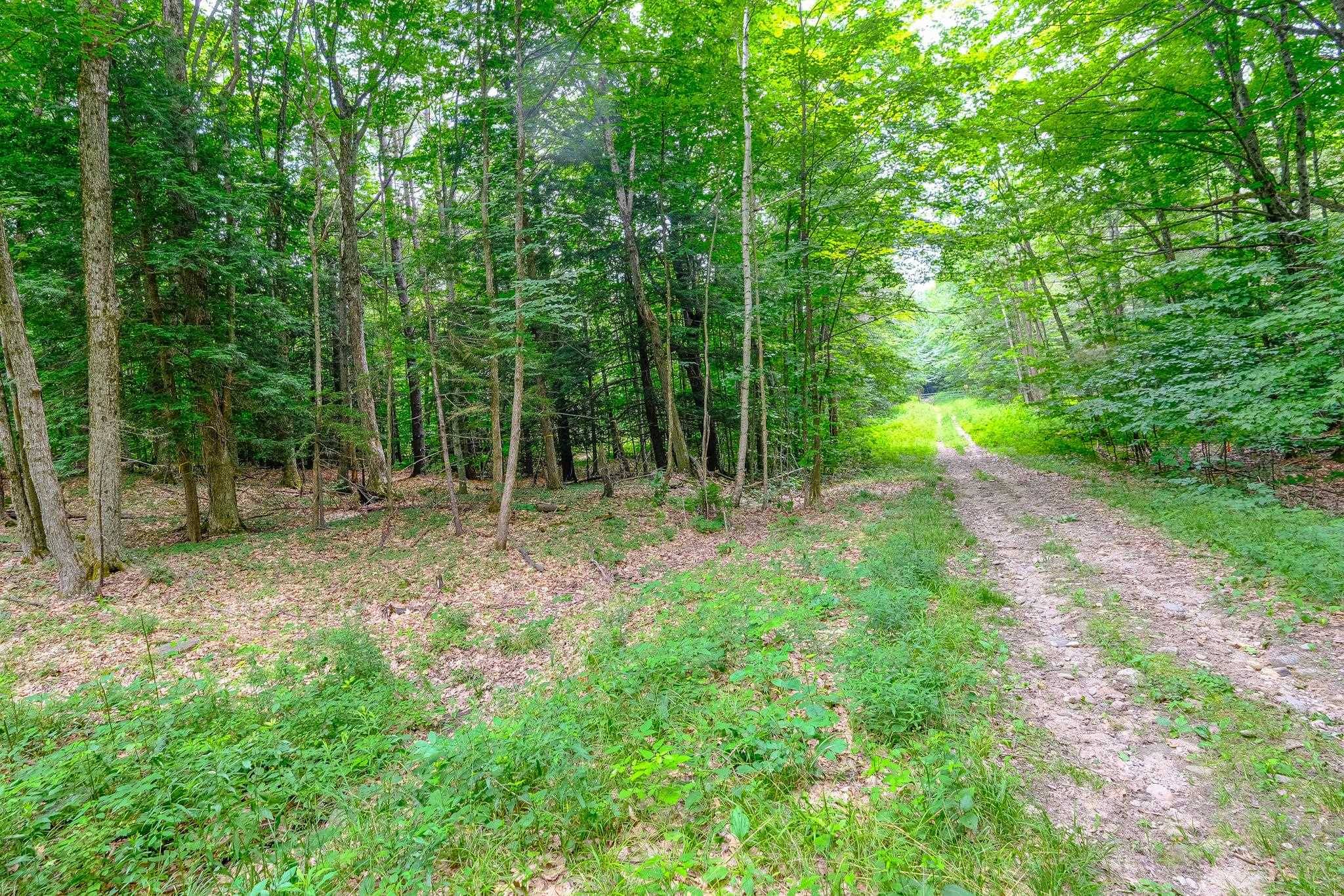 Ludlow, VT 05149,Lot 2A Preedom Hill Road North