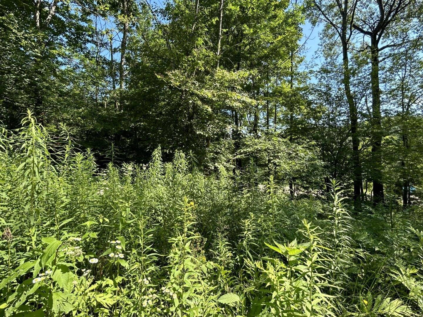 Hinesburg, VT 05461,2871 Texas Hill RD