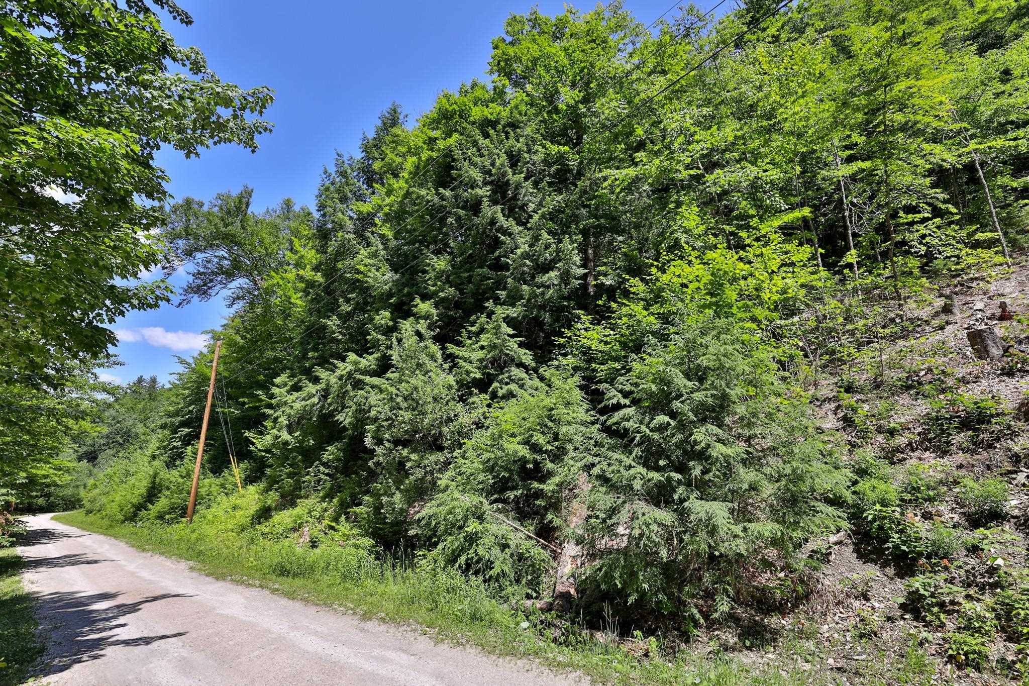 Stockbridge, VT 05772,Lot 1-26 Madison Brook LN #1-26