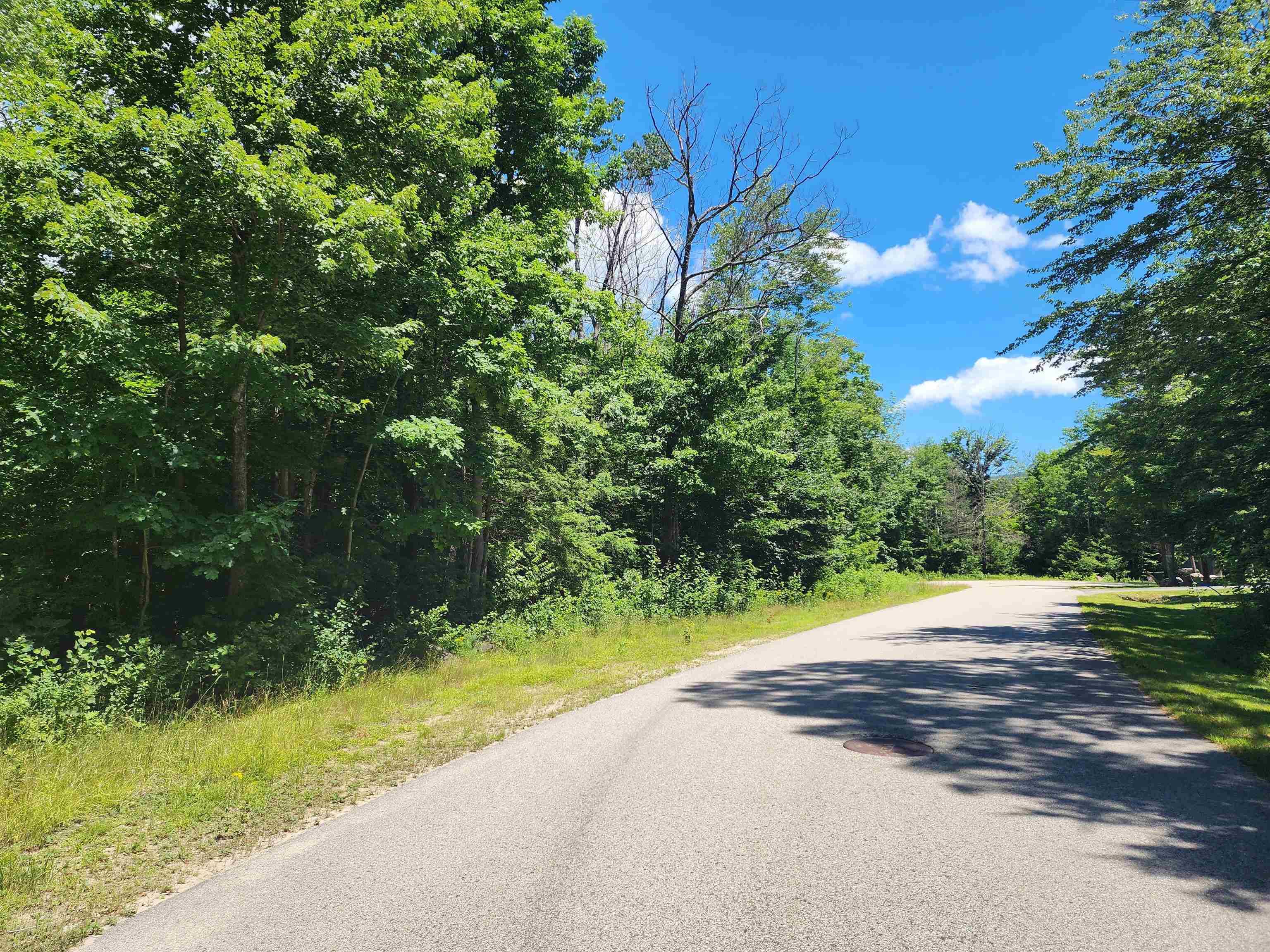 Conway, NH 03860,00000 Ledgewood RD