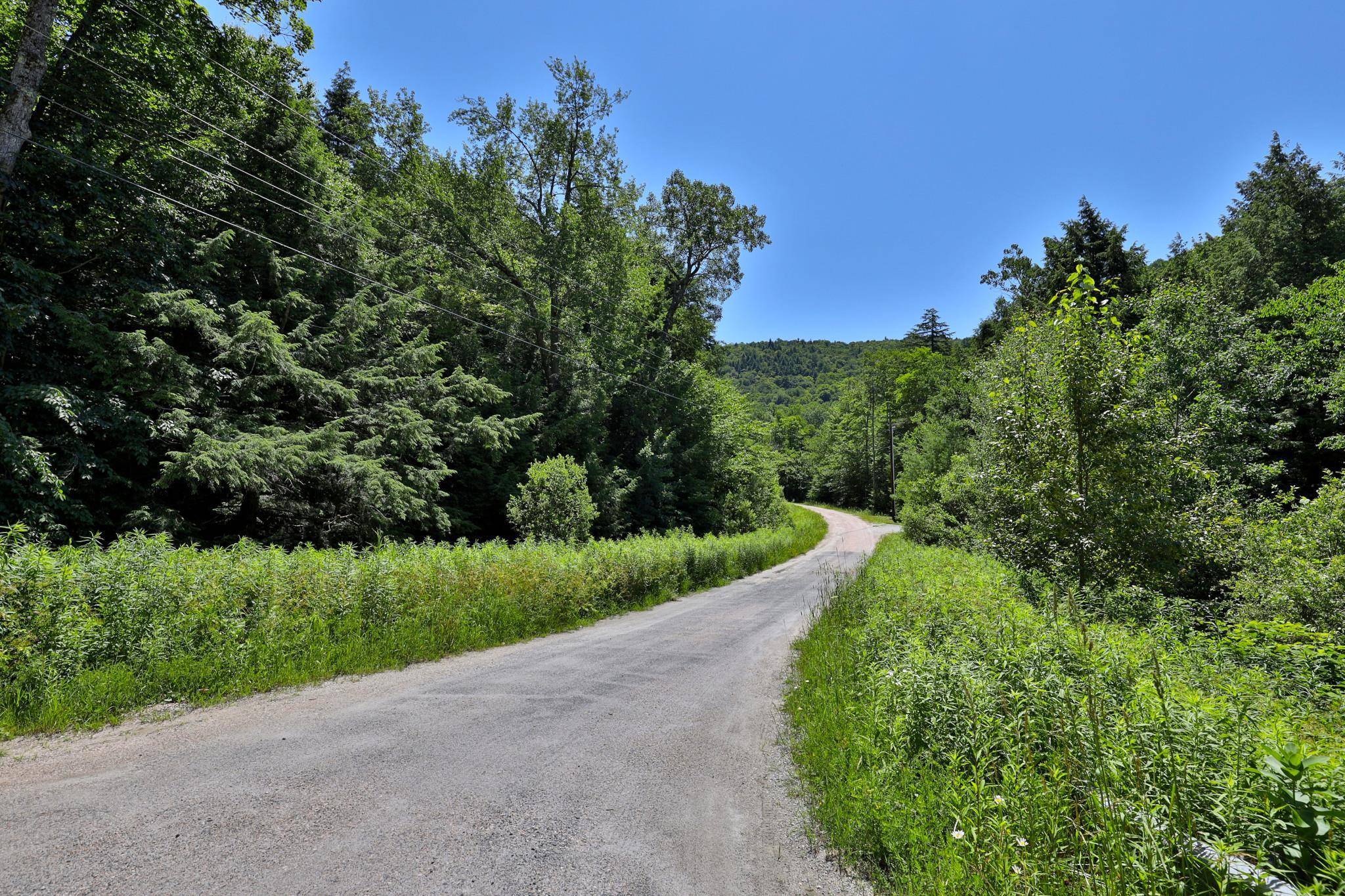 Stockbridge, VT 05772,Lot 1-25 Madison Brook LN