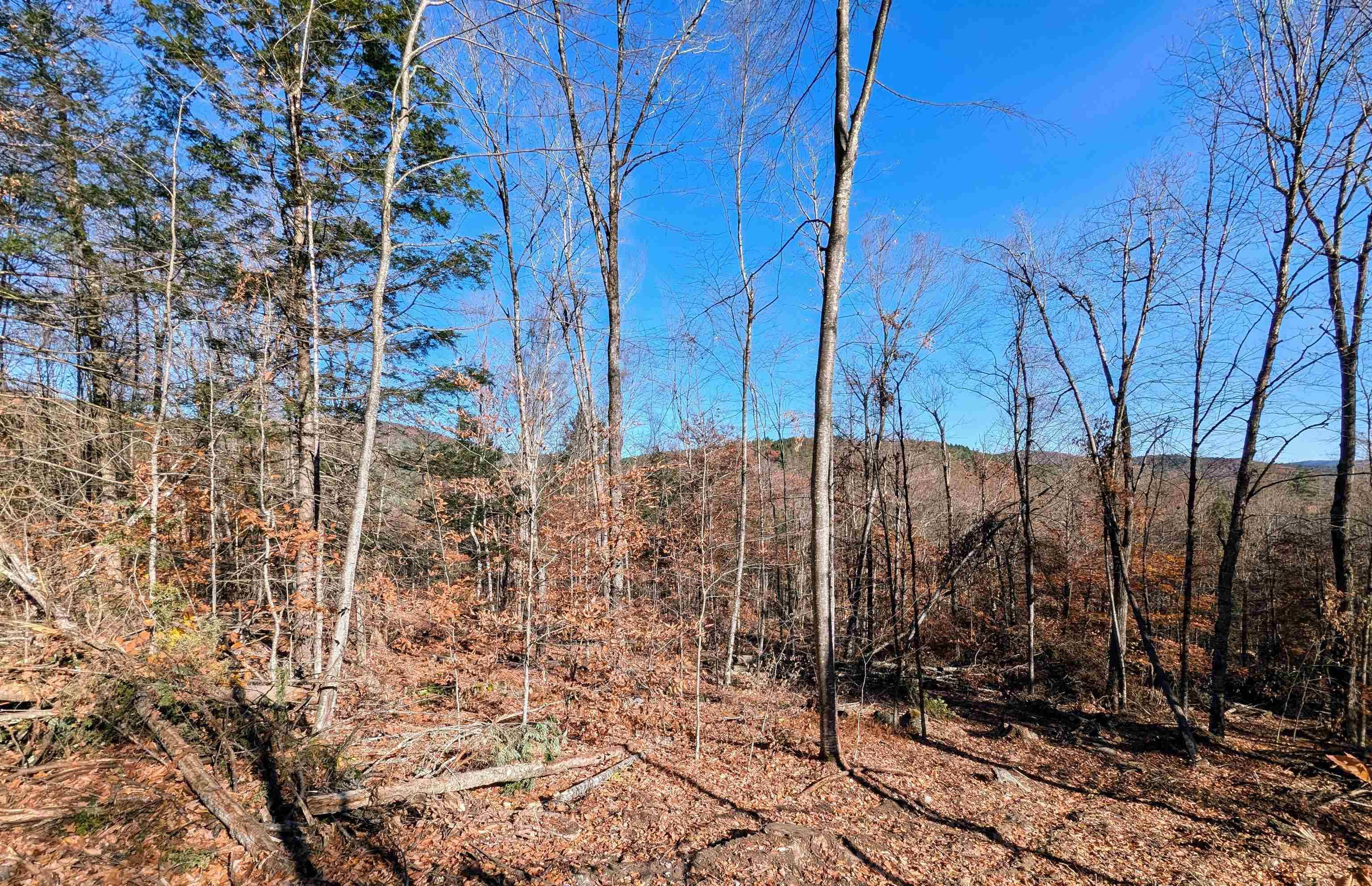 Newfane, VT 05351,0 Dover RD #Lot 4