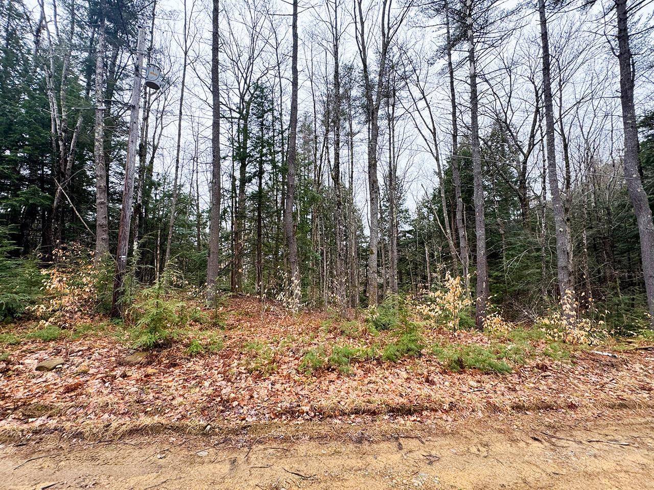 Gilmanton, NH 03237,0000 Cedar DR #11