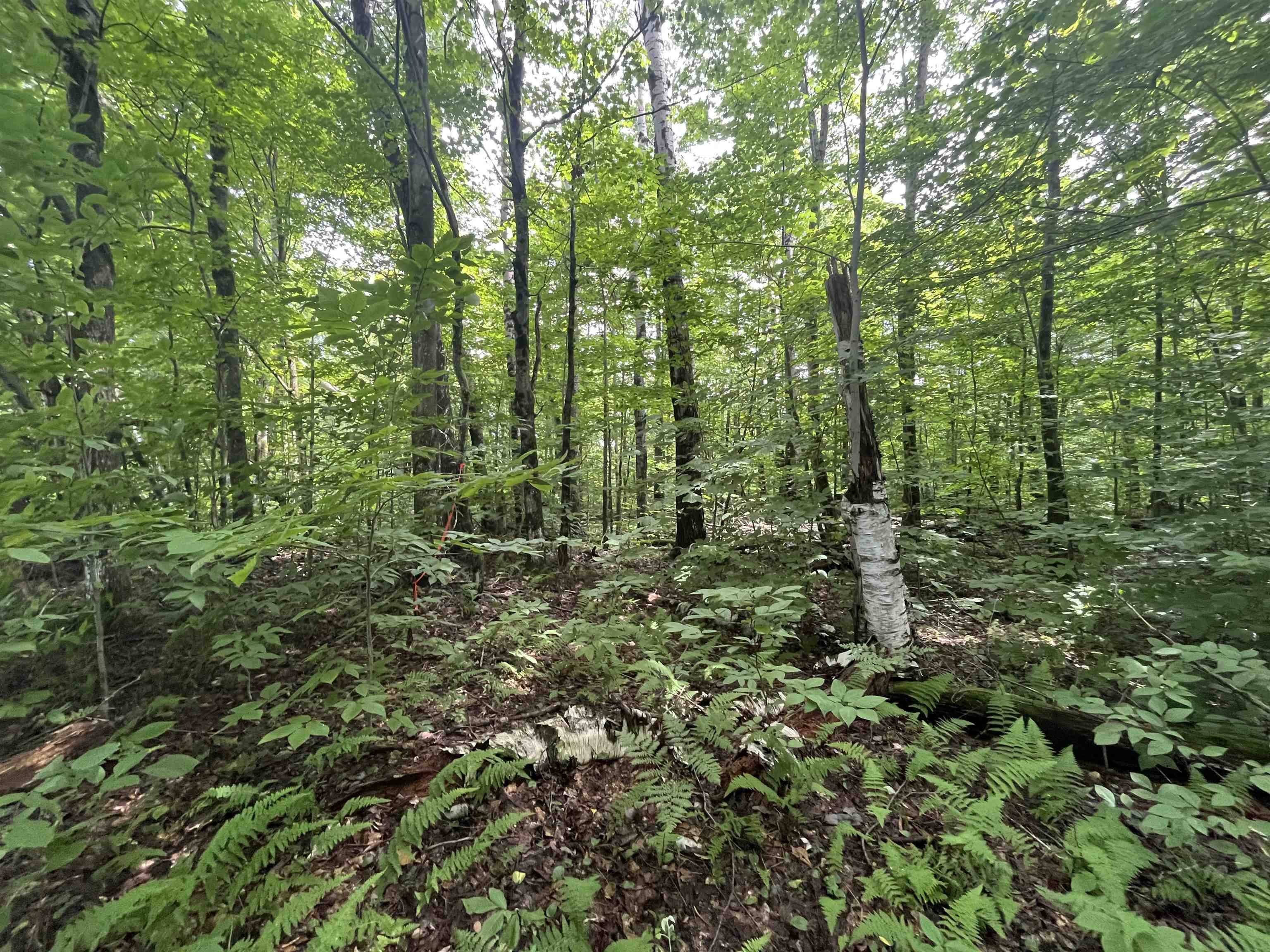 Richford, VT 05476,0 Smith RD