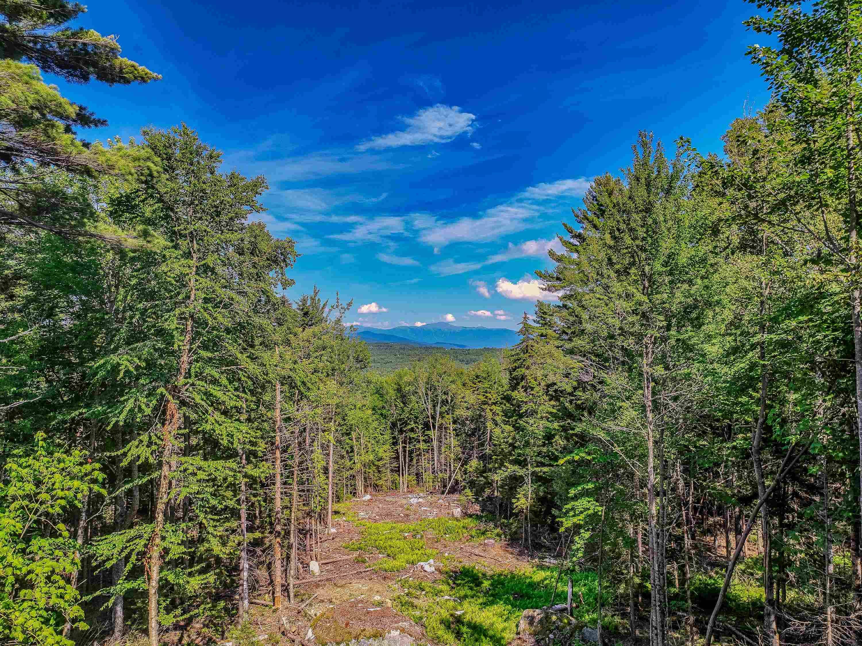 Bethlehem, NH 03574,00 Ridge RD #27