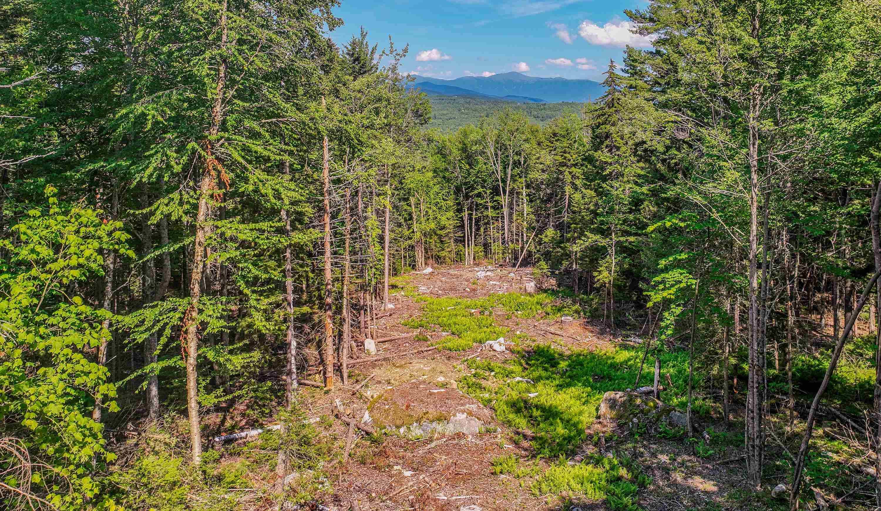Bethlehem, NH 03574,00 Ridge RD #27
