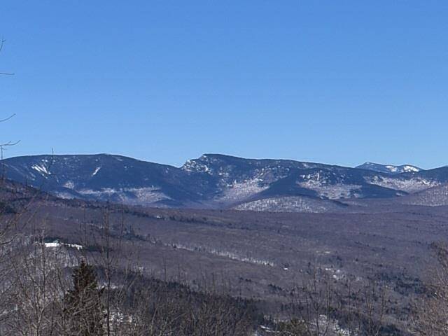 Jackson, NH 03846,13 Alpine DR