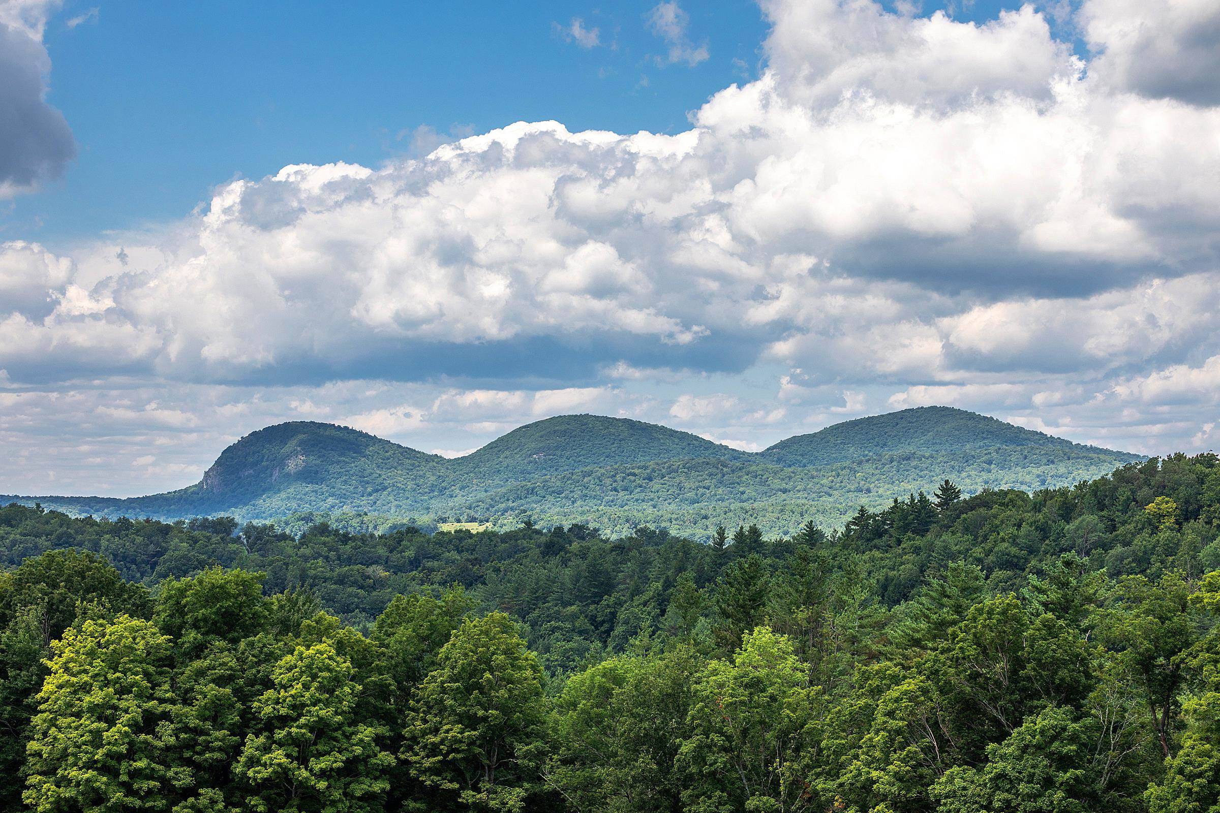 Danby, VT 05739,3780 Danby-Pawlet RD
