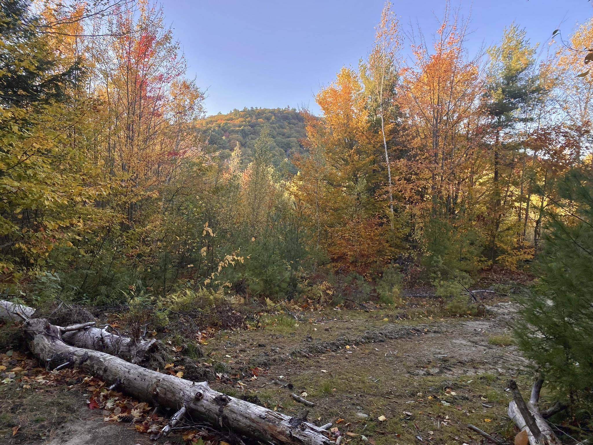 Eaton, NH 03832,Willis Bean RD #2,4,6