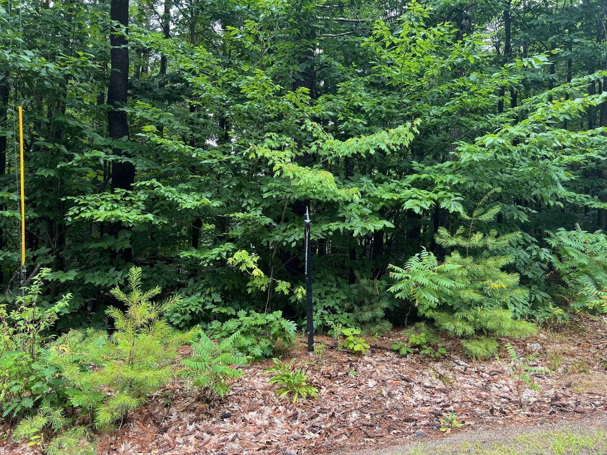 New Durham, NH 03855,Lot 84 Franconia DR