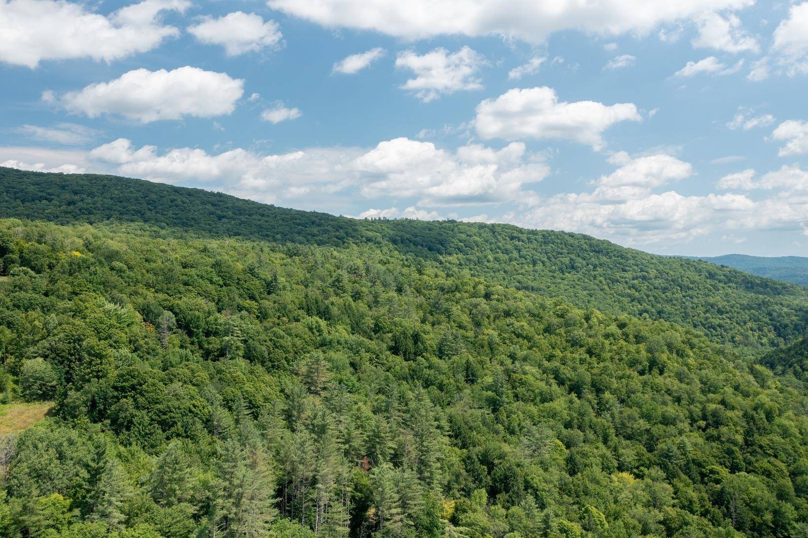 Jamaica, VT 05343,0 West Hill Road South