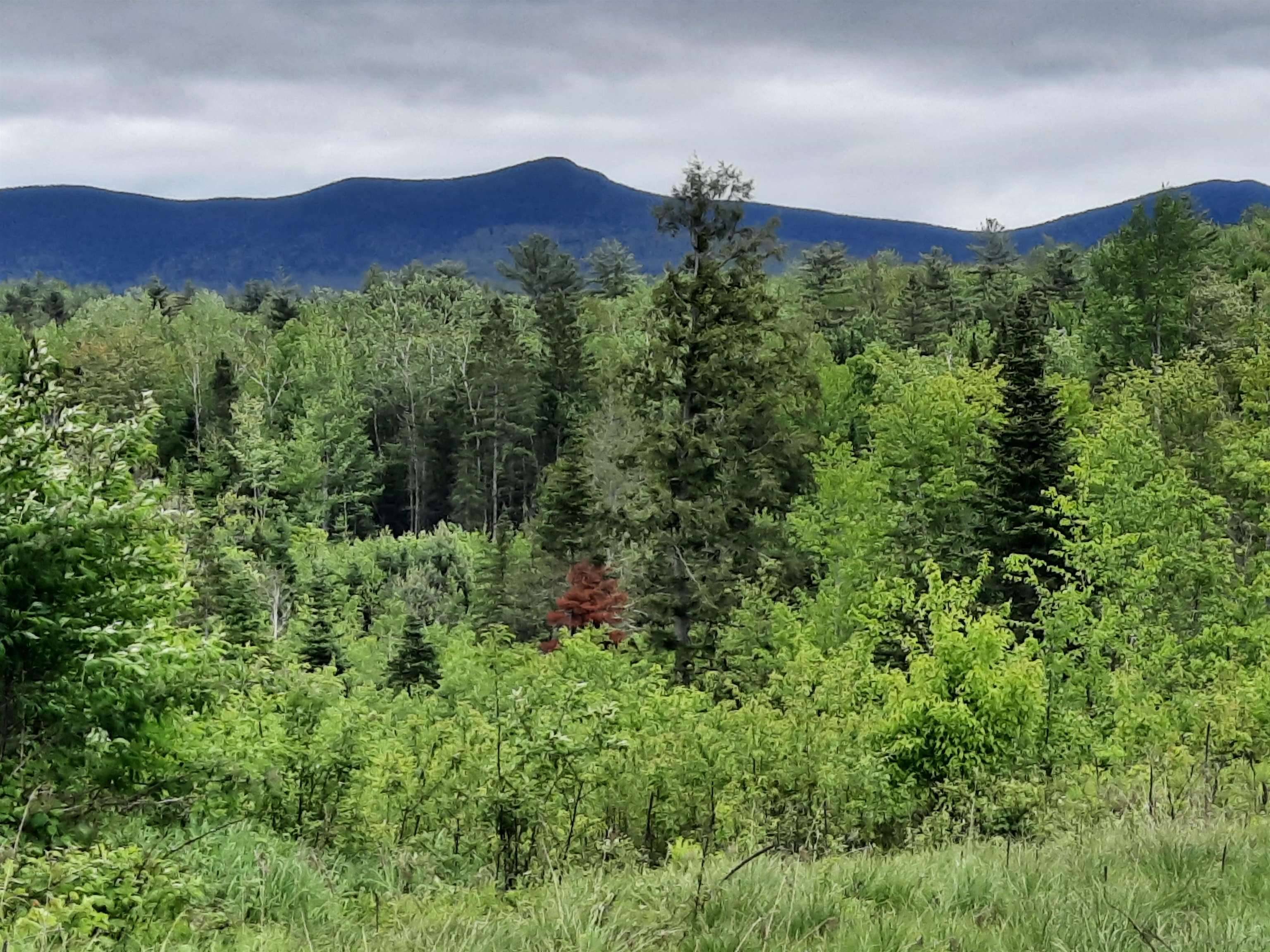 Lancaster, NH 03584,Lots 7 & 8 Kelsea DR