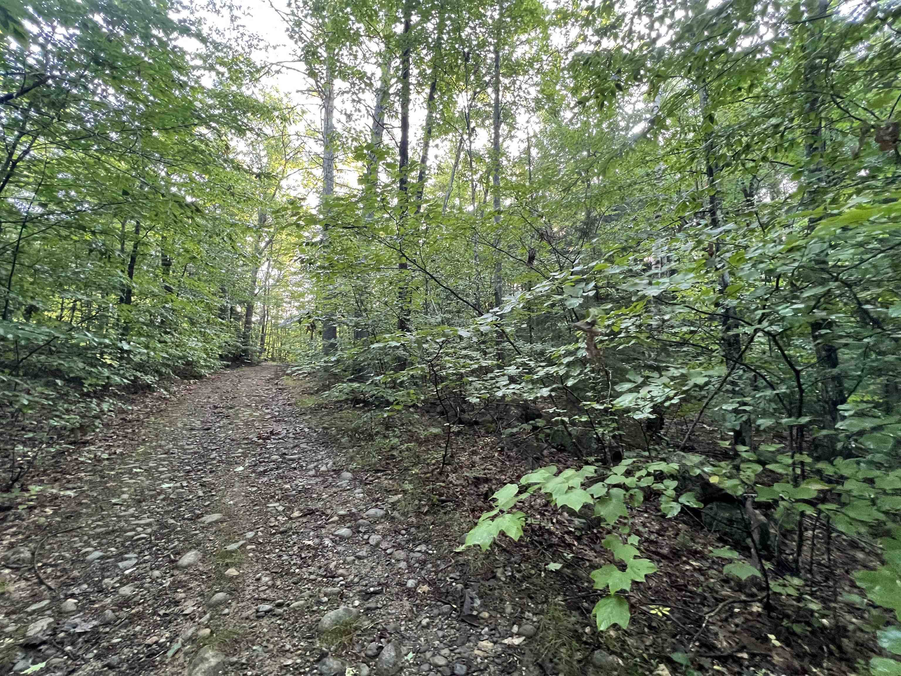 Webster, NH 03303,Map 6, Lot 38 Chadwick Hill RD