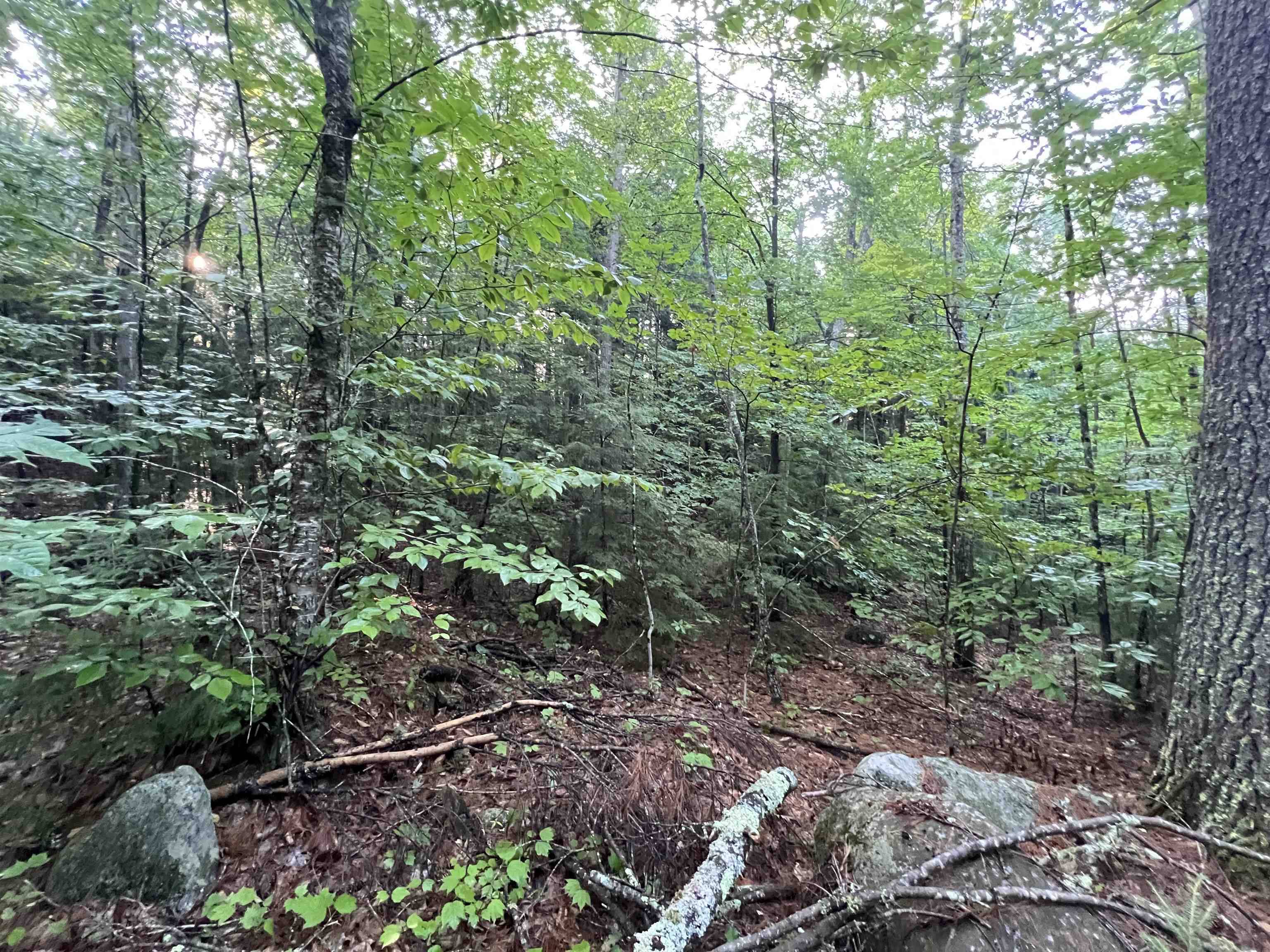 Webster, NH 03303,Map 6, Lot 38 Chadwick Hill RD