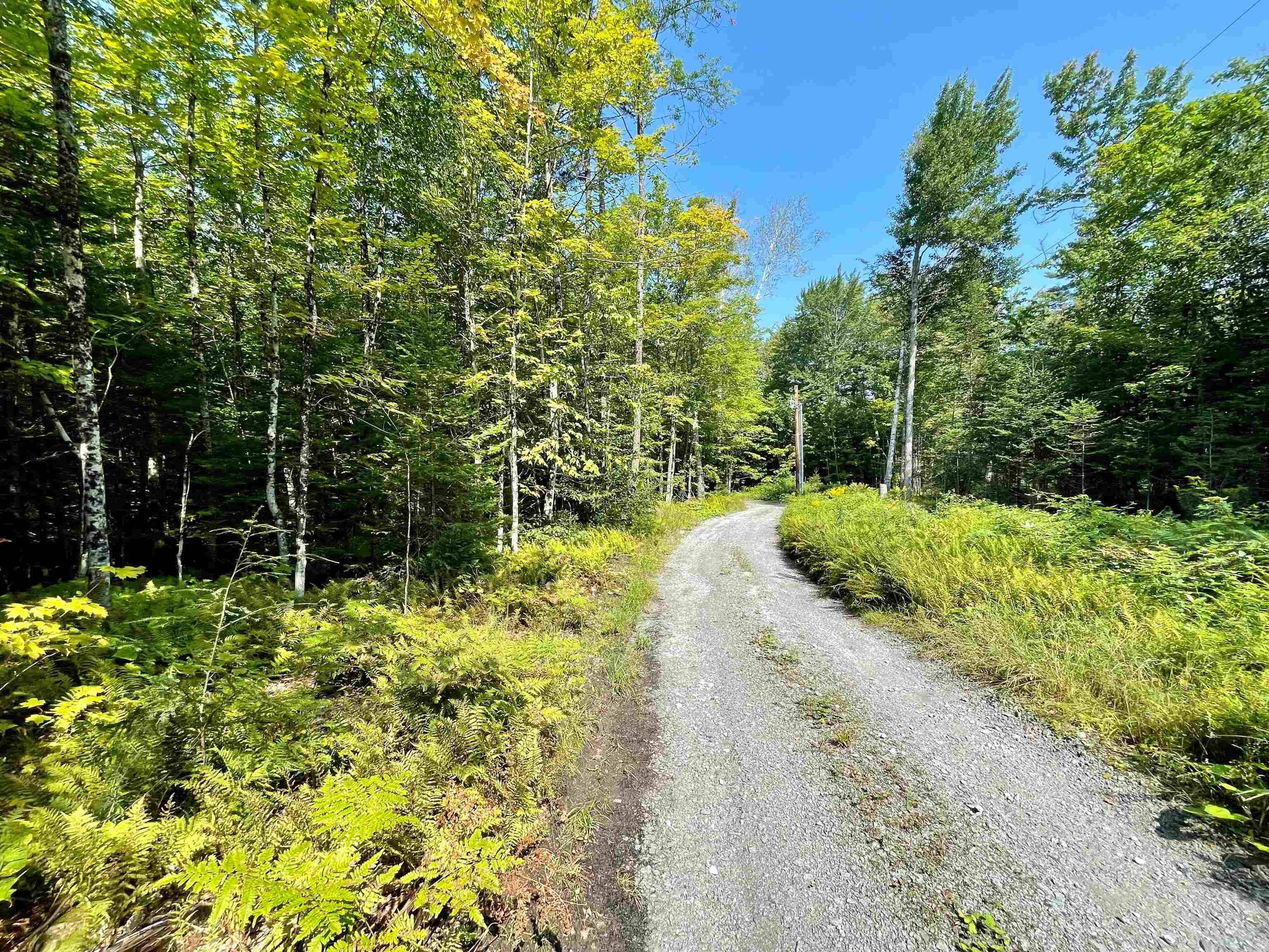 Peacham, VT 05862,501 Martins Pond LN #Lot 2