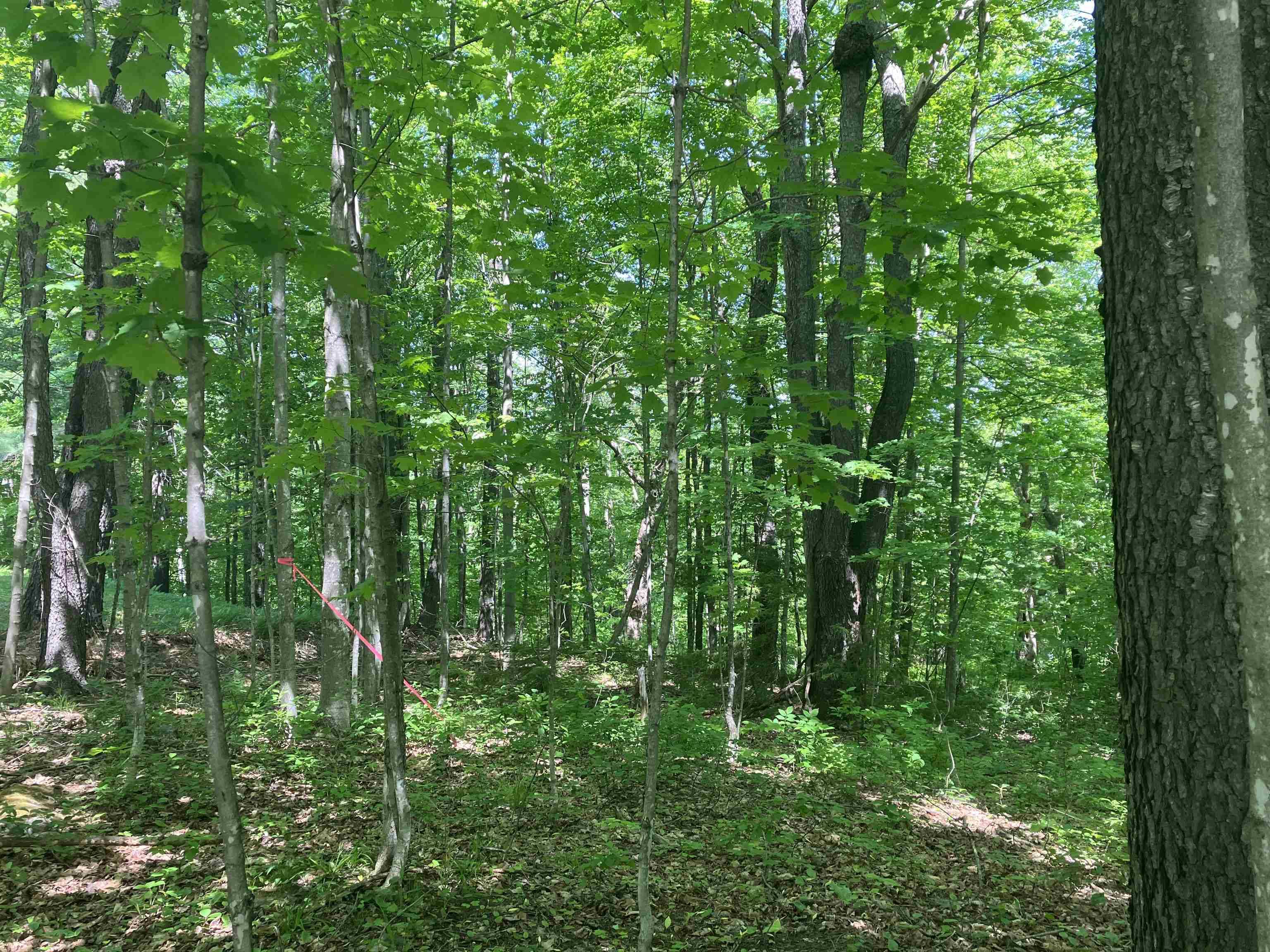 Wilmington, VT 05363,Upper Howes WAY #A-25
