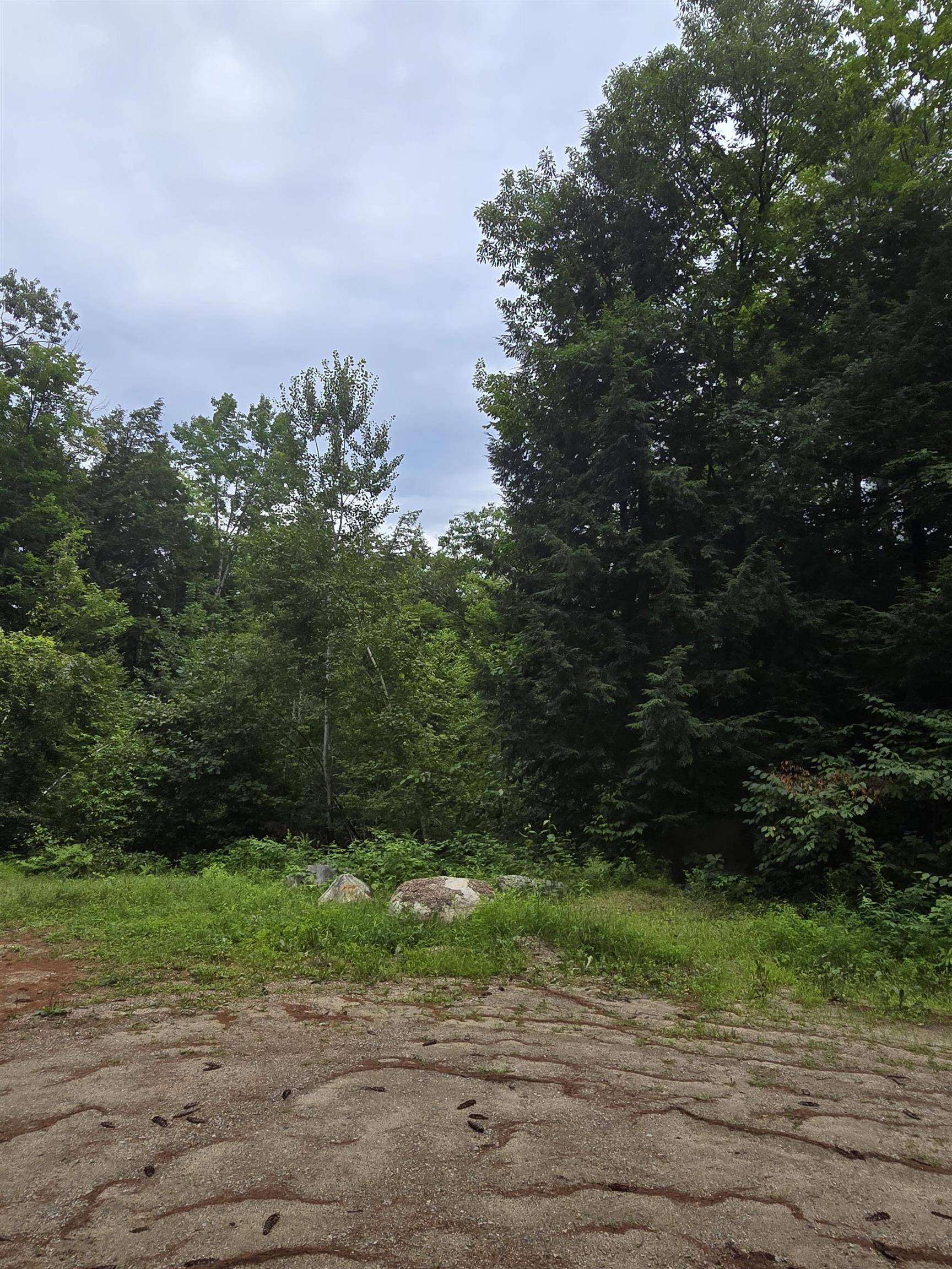 Tamworth, NH 03886,0 Rocky LN #114