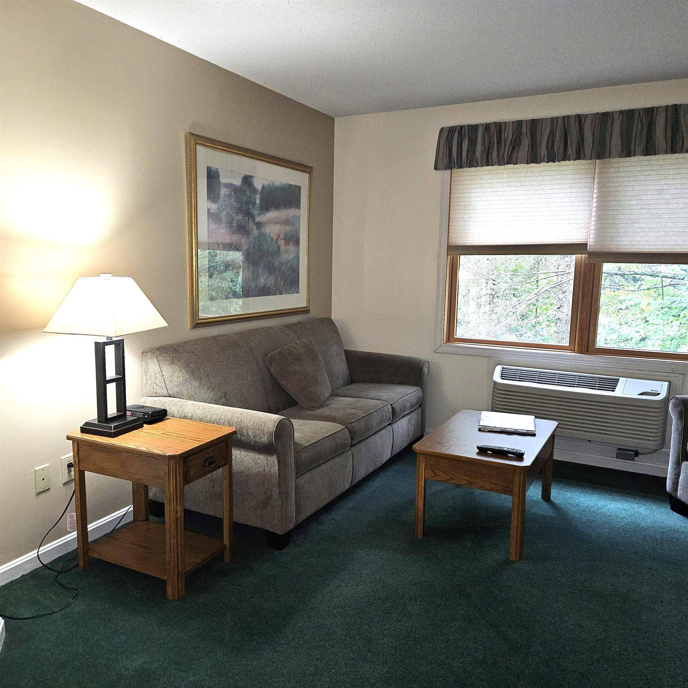 Woodstock, NH 03262,160 Deer Park DR #144C