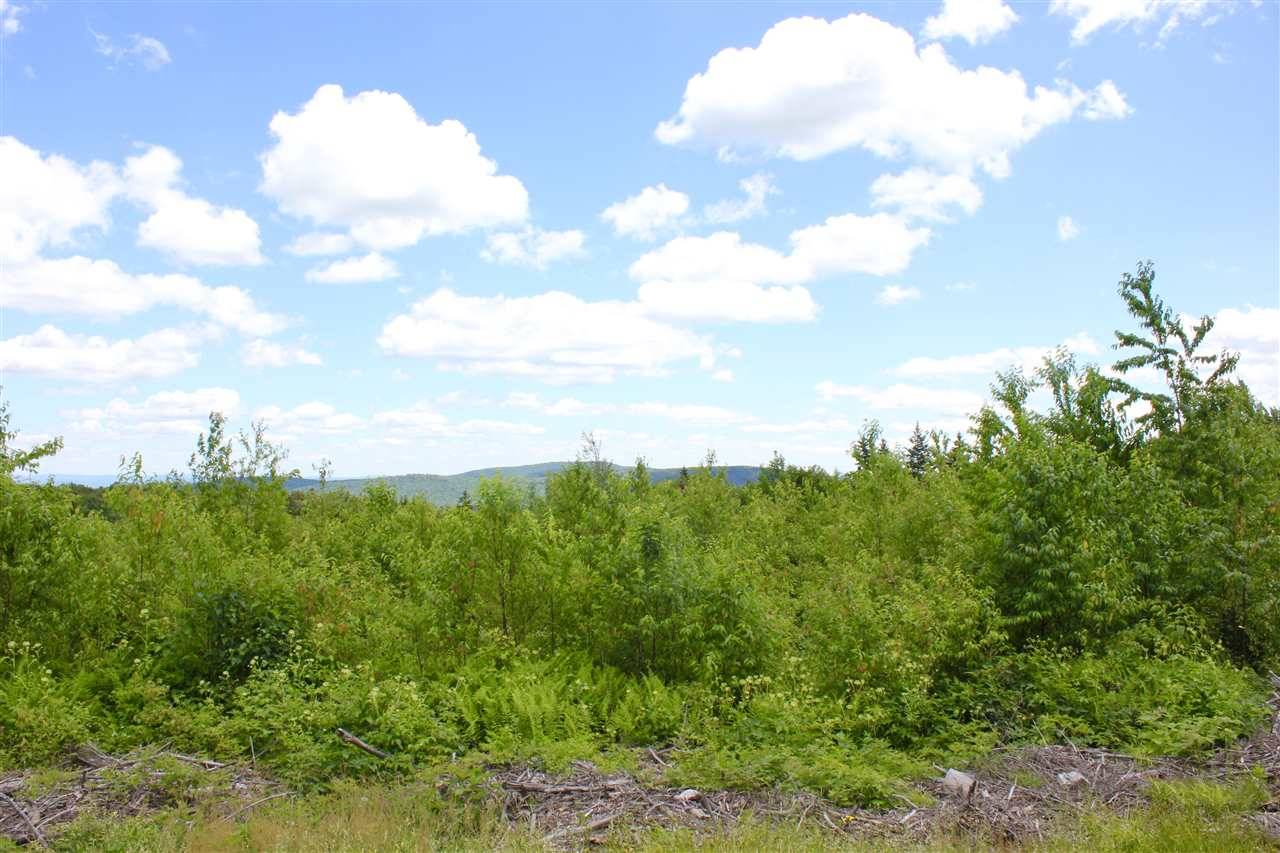 Andover, VT 05143,Valley View DR #8