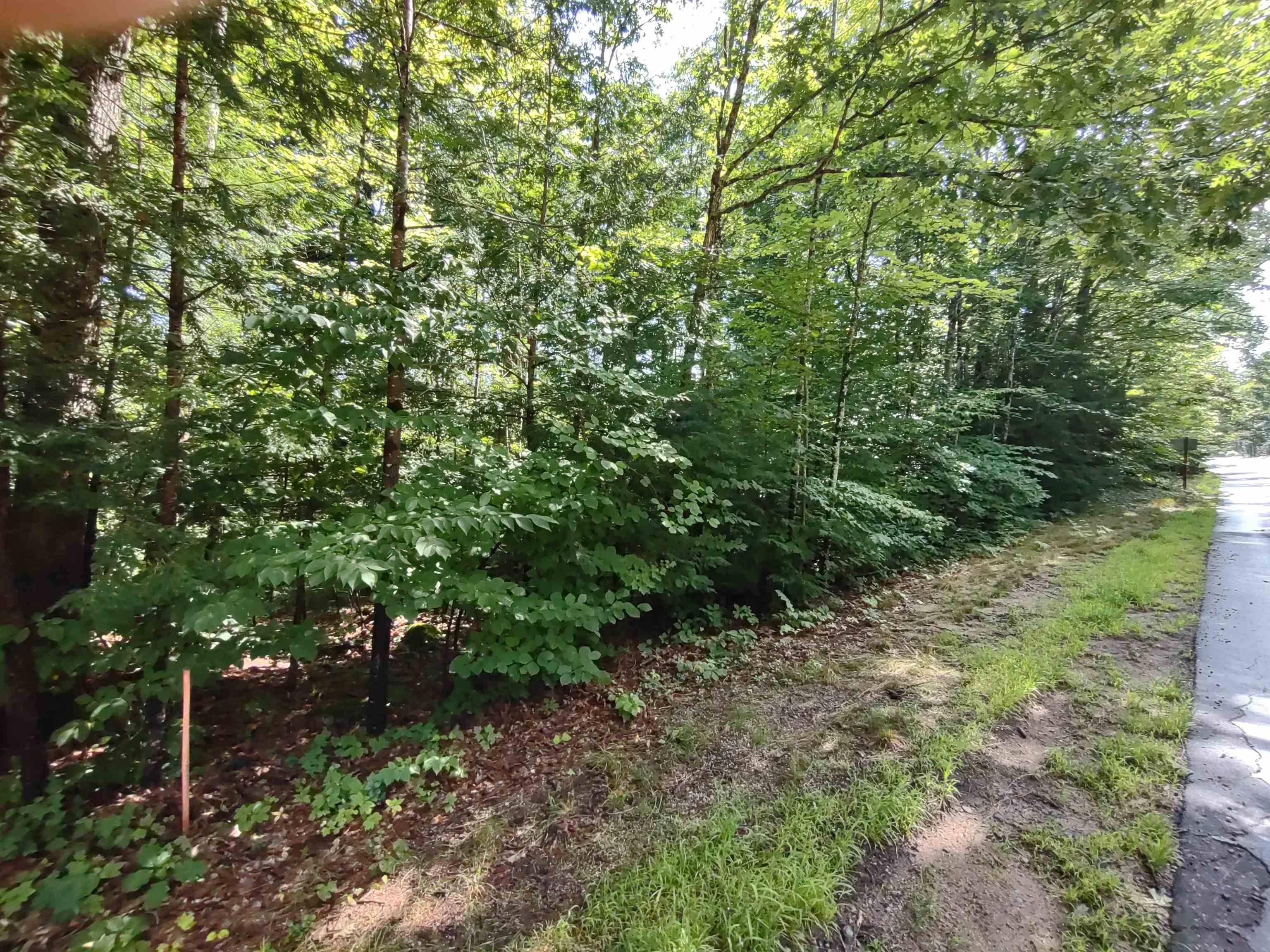 Sundorf ST Moultonborough, NH 03254