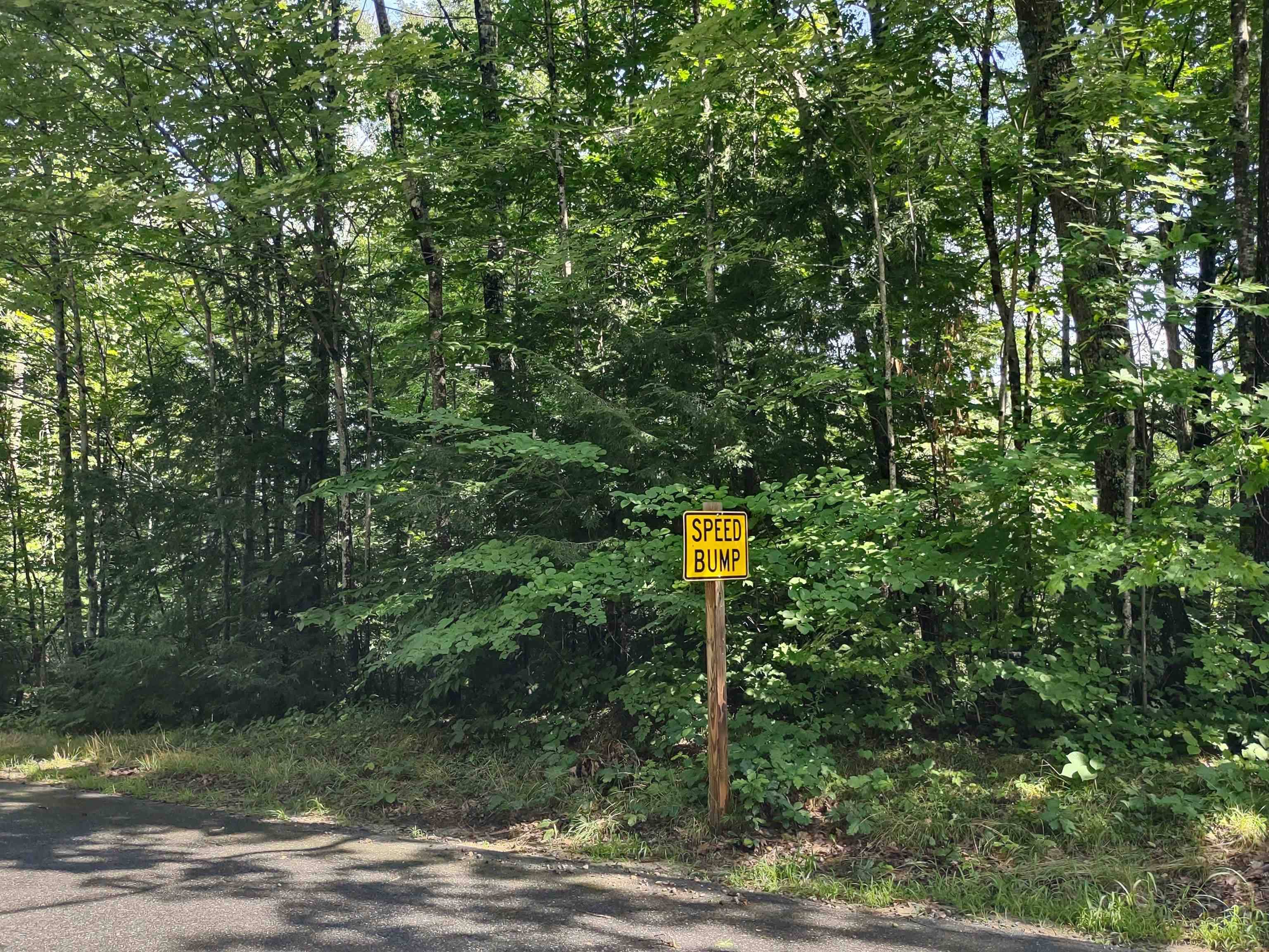 Moultonborough, NH 03254,Sundorf ST